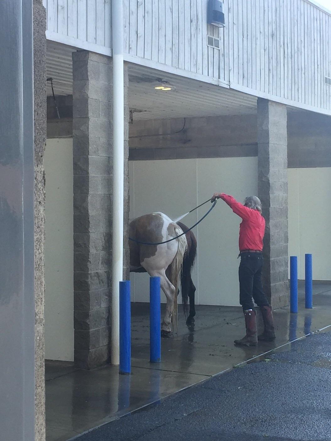 I work at a coffee shop next to a car wash and it's Rodeo weekend. I