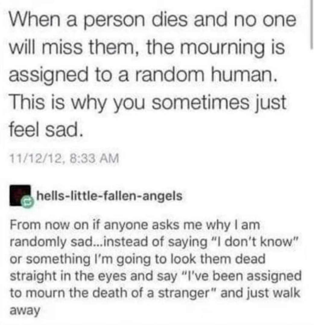 This explains a lot meme