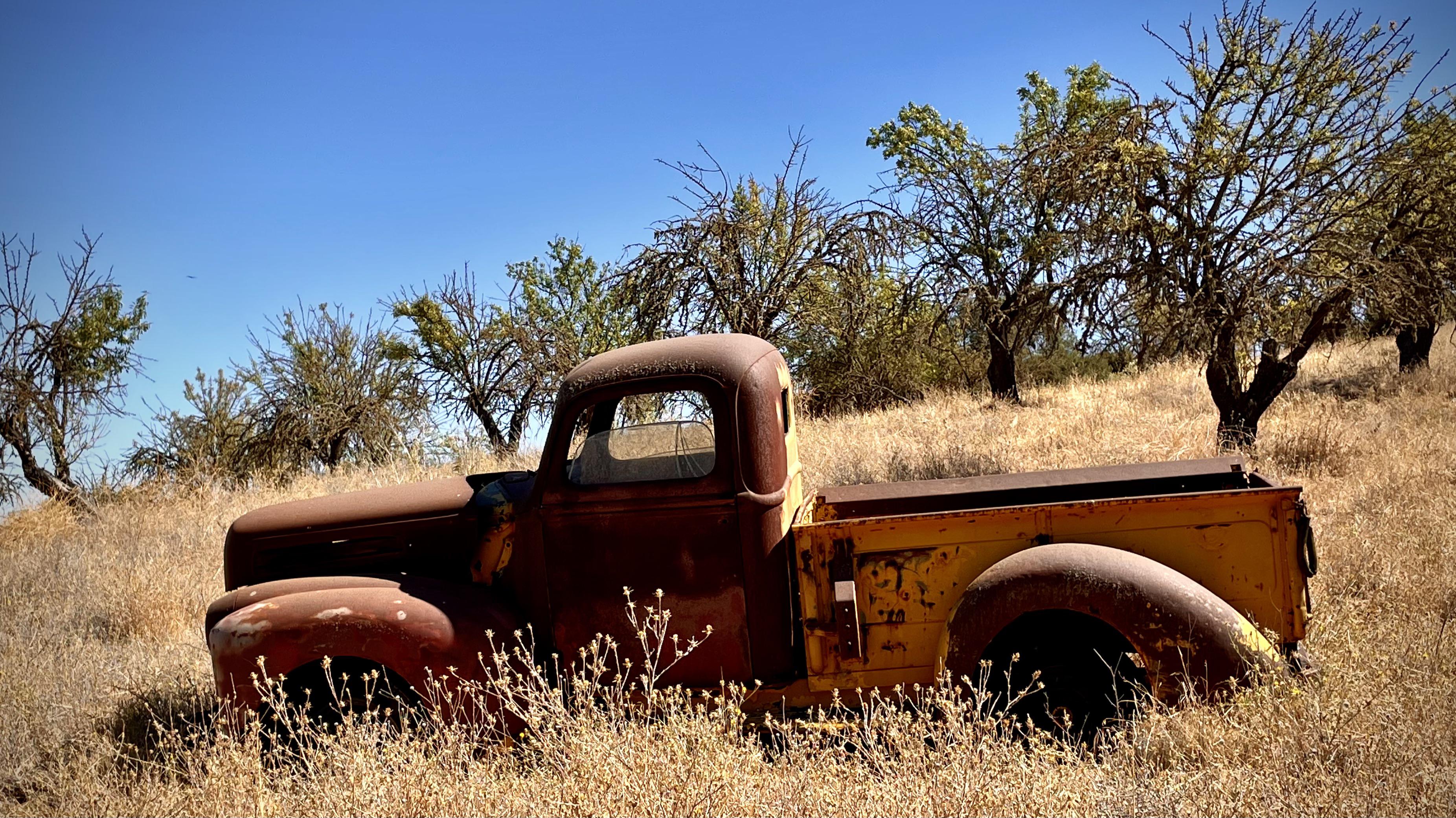 Abandoned truck in Paso Robles, CA r/AbandonedPorn
