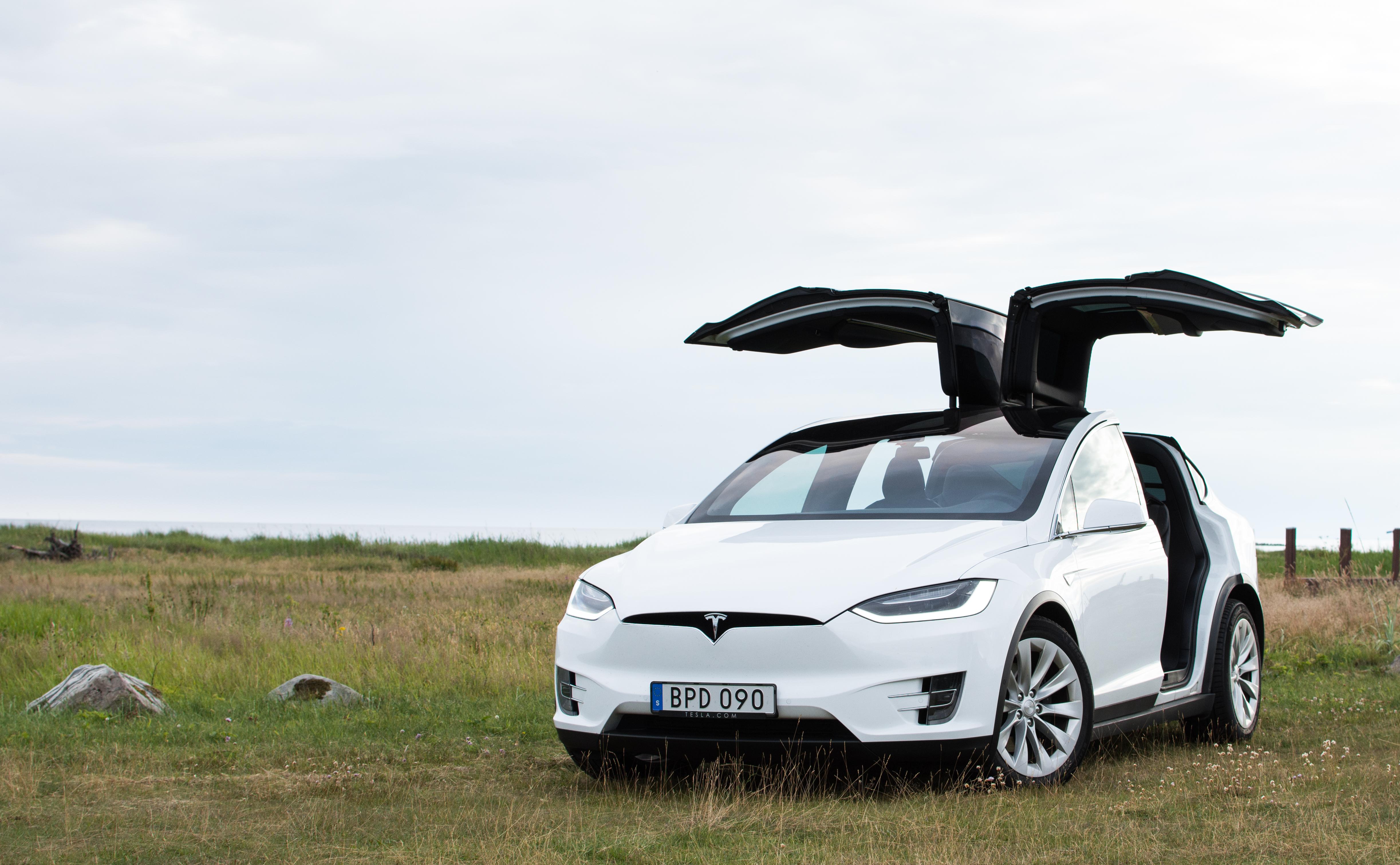 Model X flexing its wings [OC] r/teslamotors