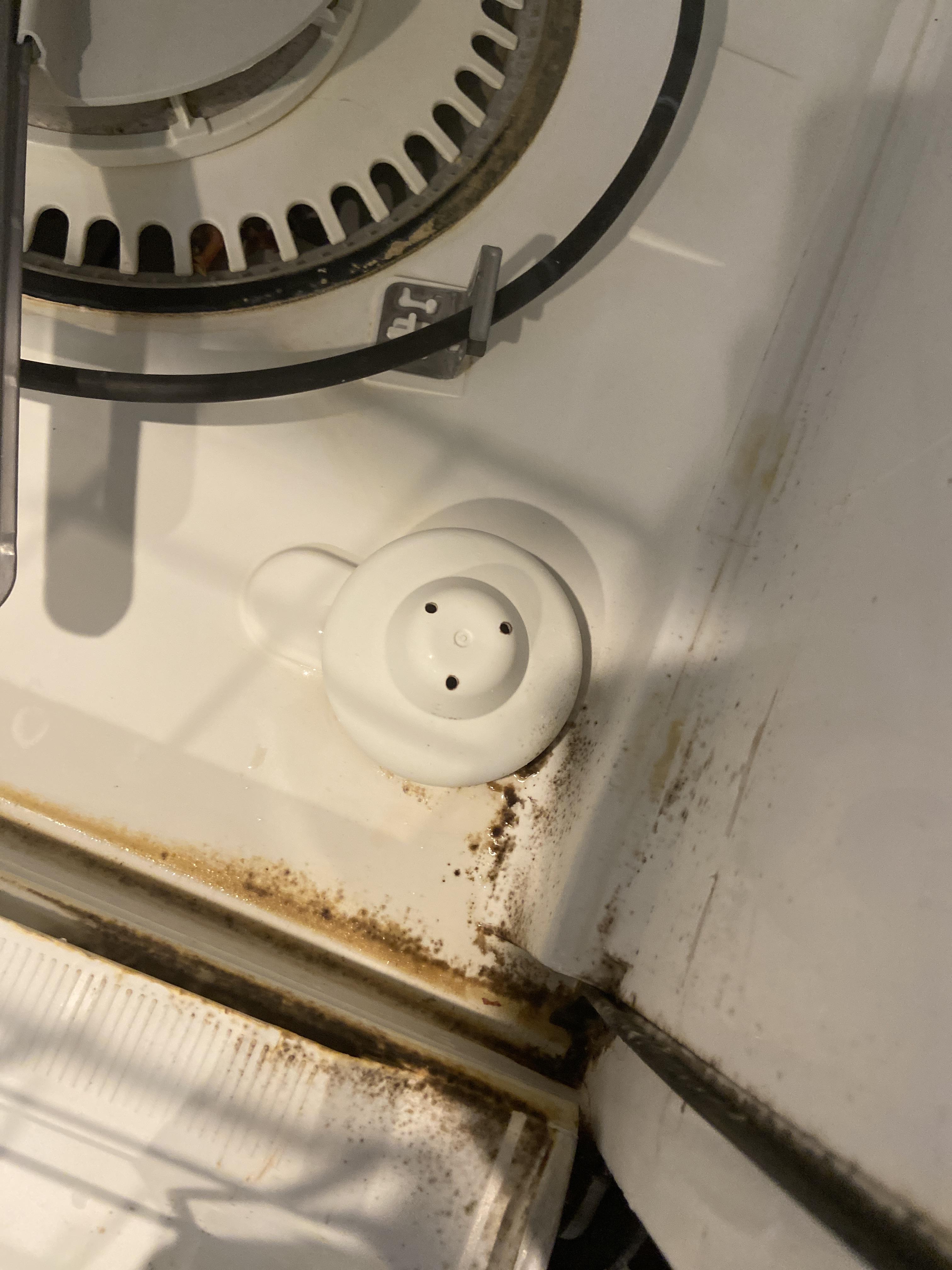 Dishwasher dirt anyone have any tips to clean this r/CleaningTips