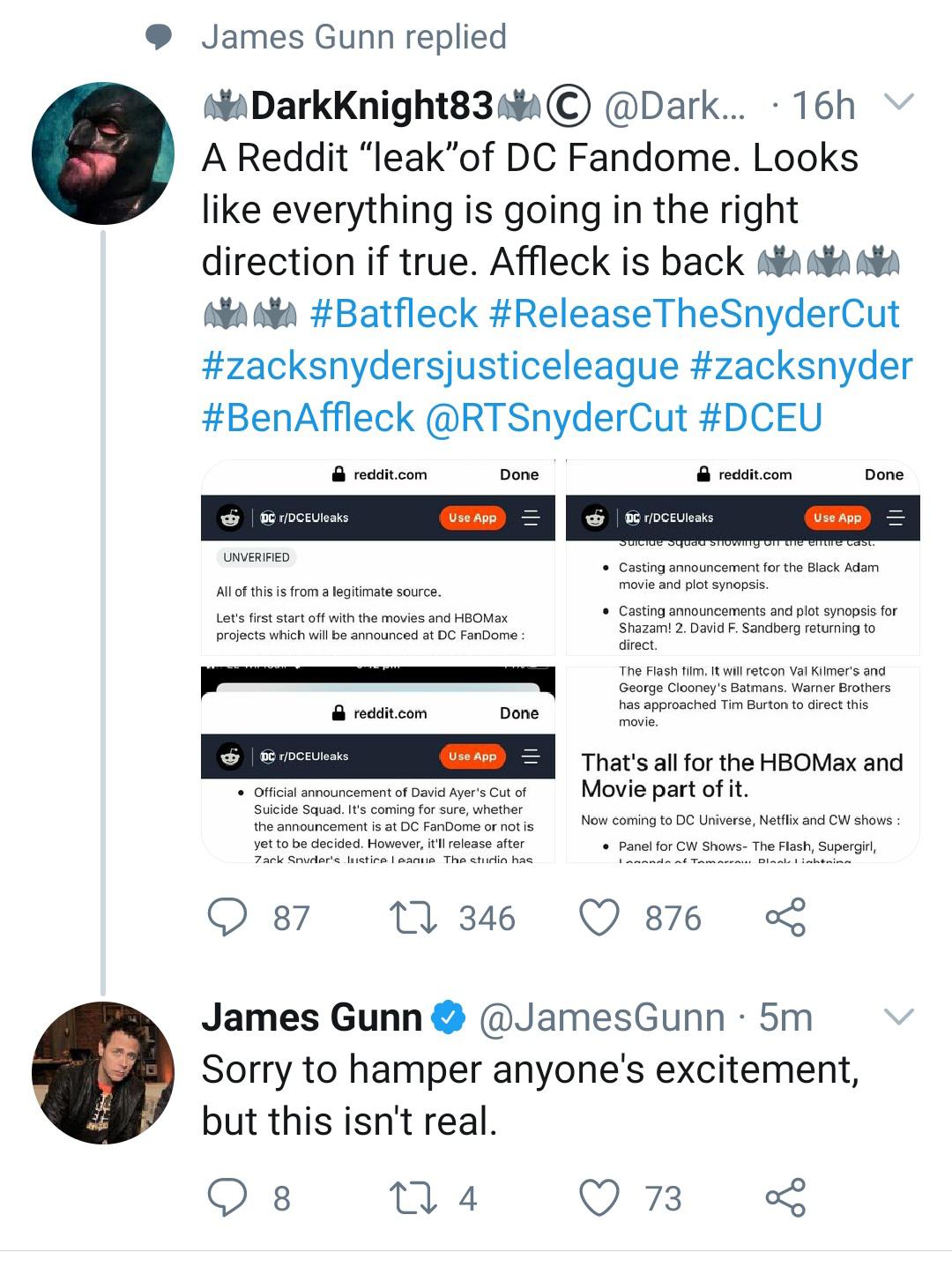 James Gunn debunks DC Fandome leaks from this sub. : DCEUleaks