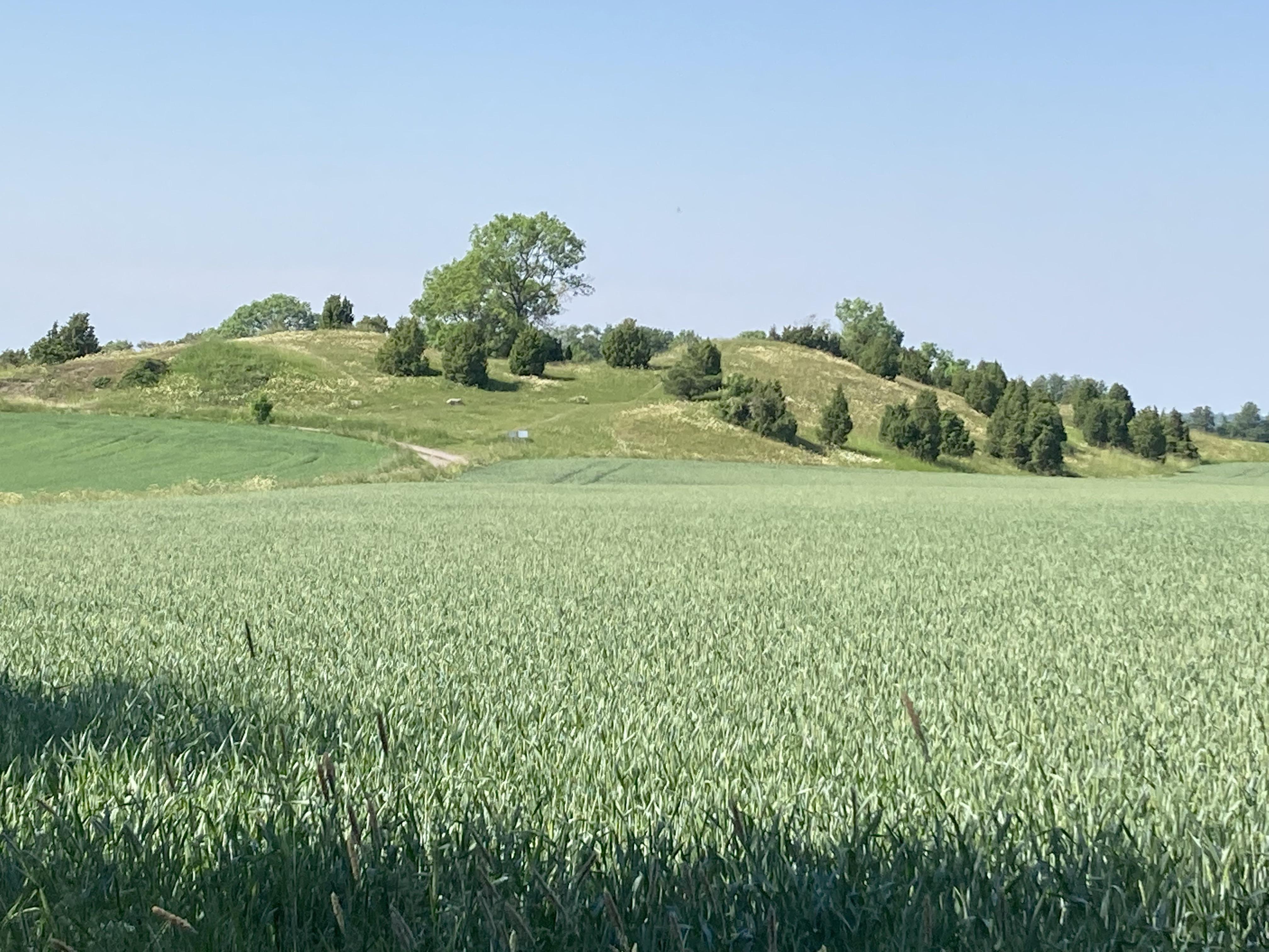 Is this armor historically accurate? Like, at all? I’m trying to learn