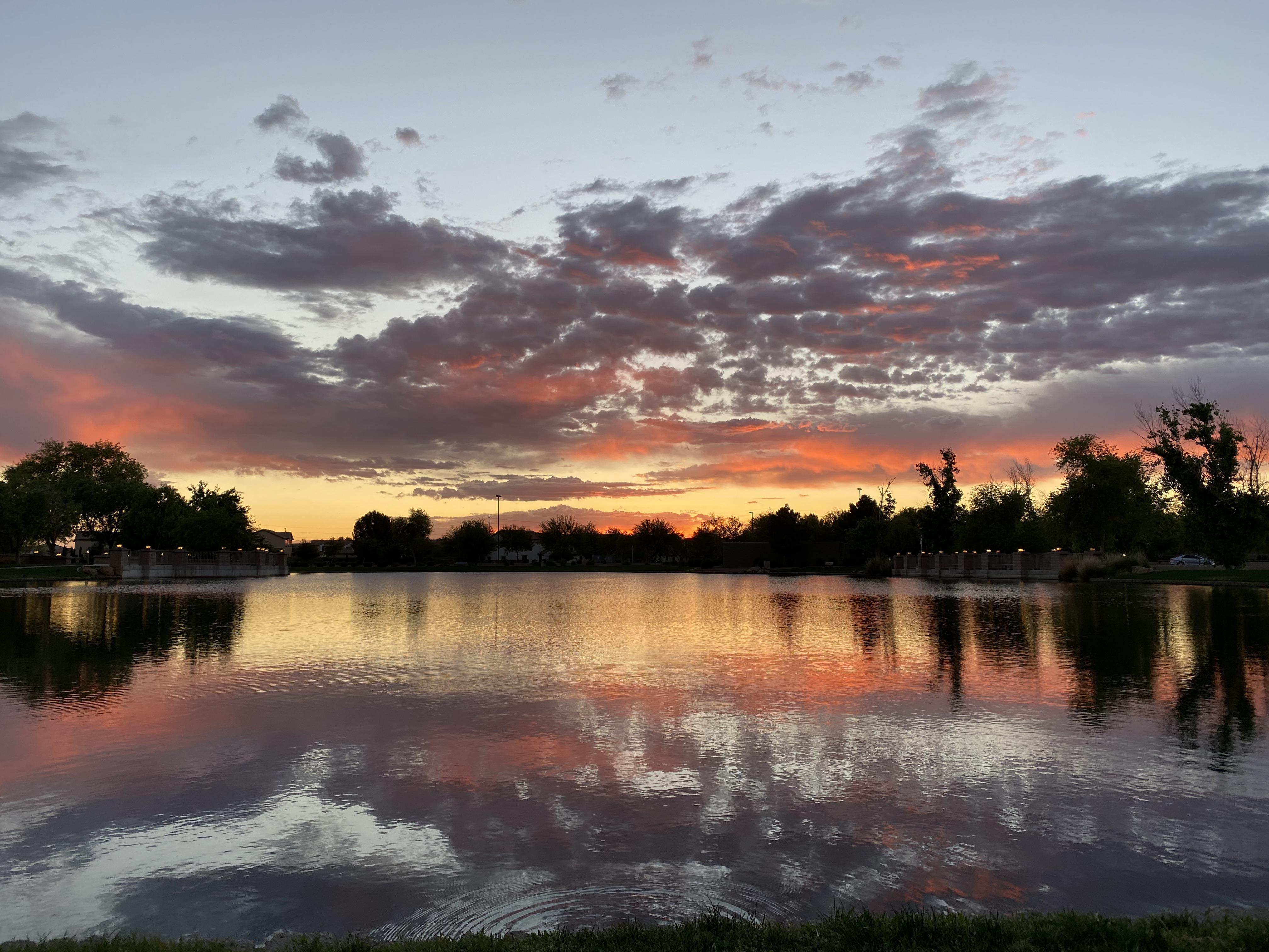 Gilbert, AZ last night r/sunset