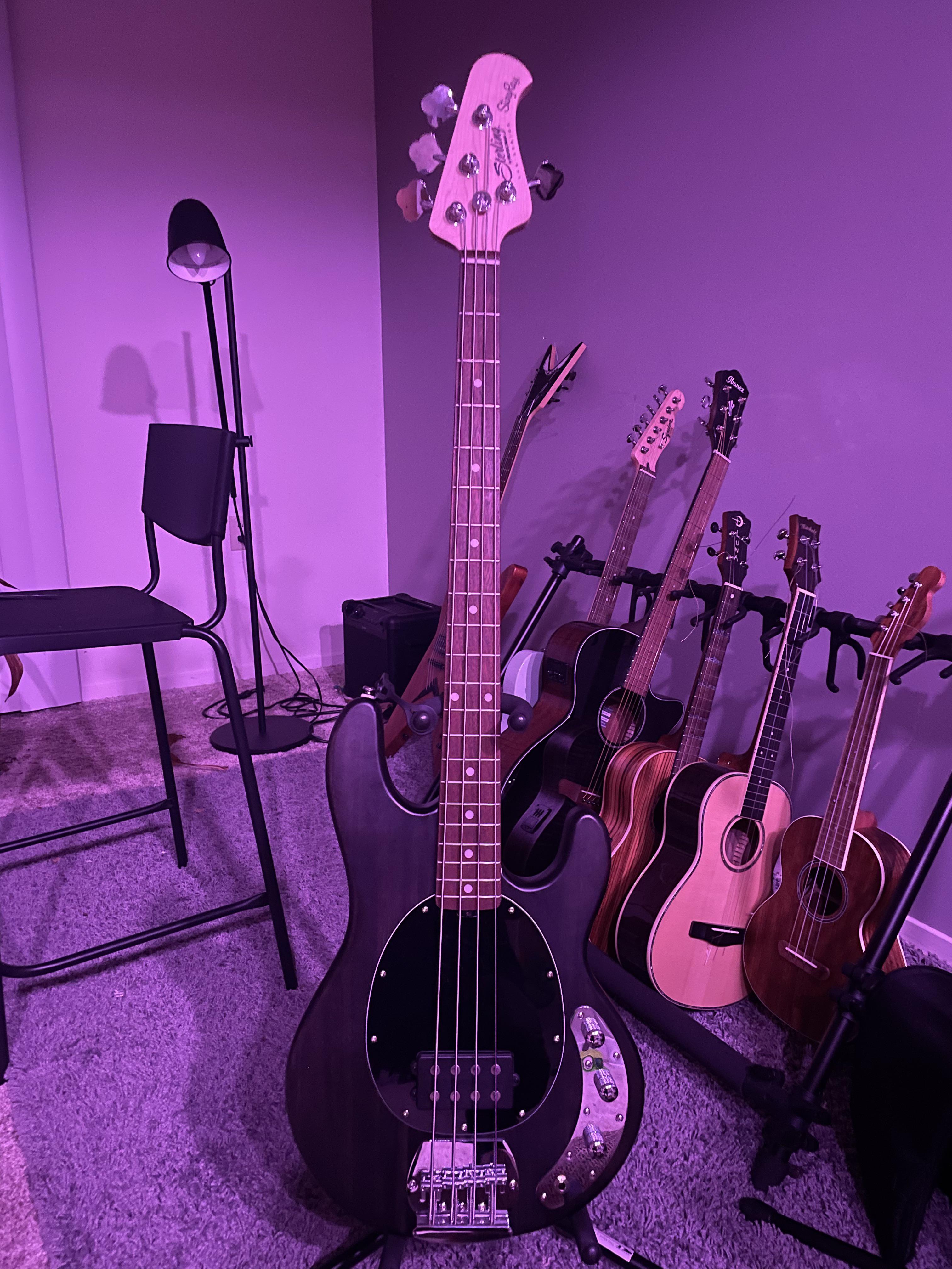 My first bass! Does anybody know where I can find black tuners, knobs