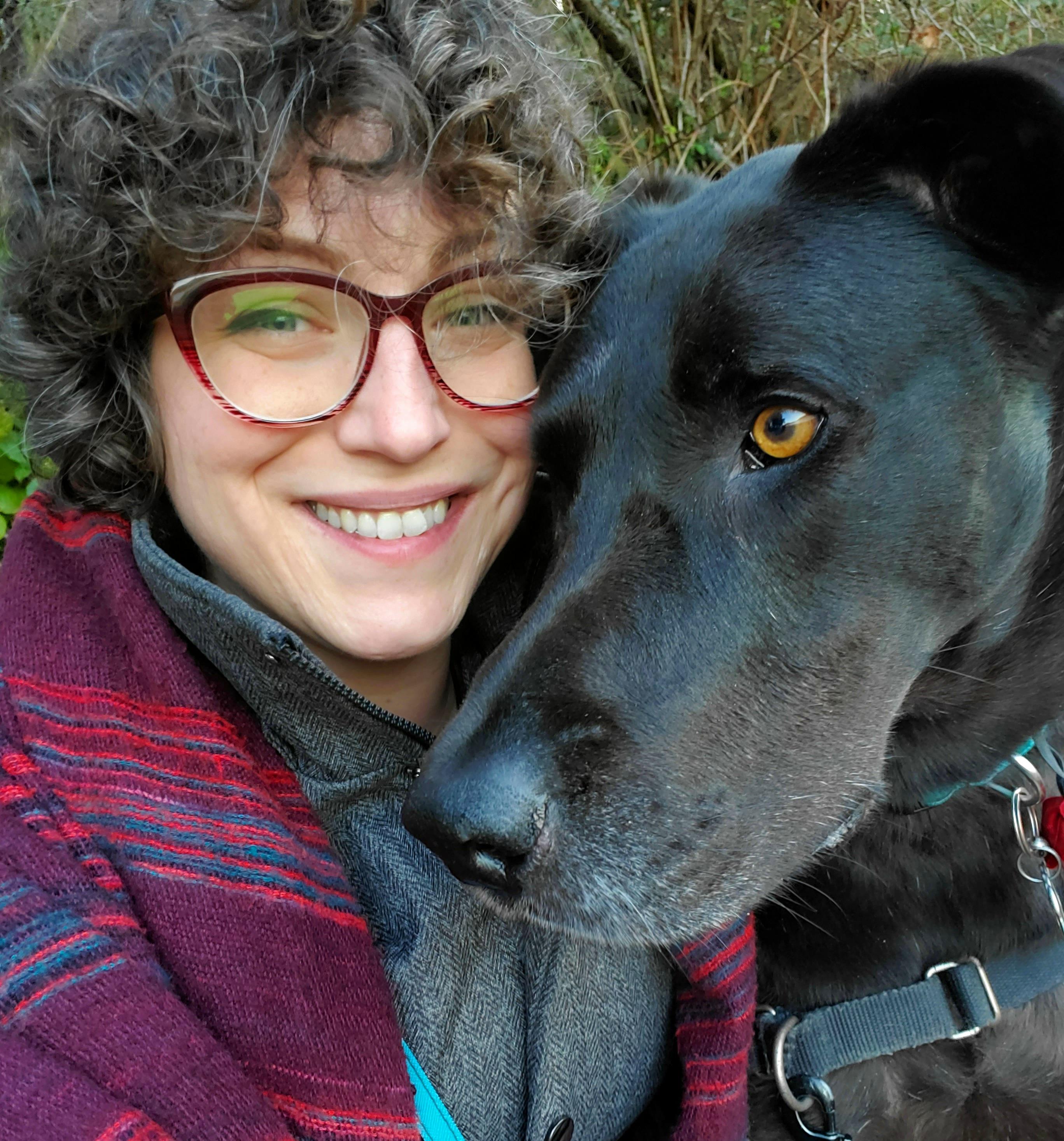 Doberman Cross Great Dane