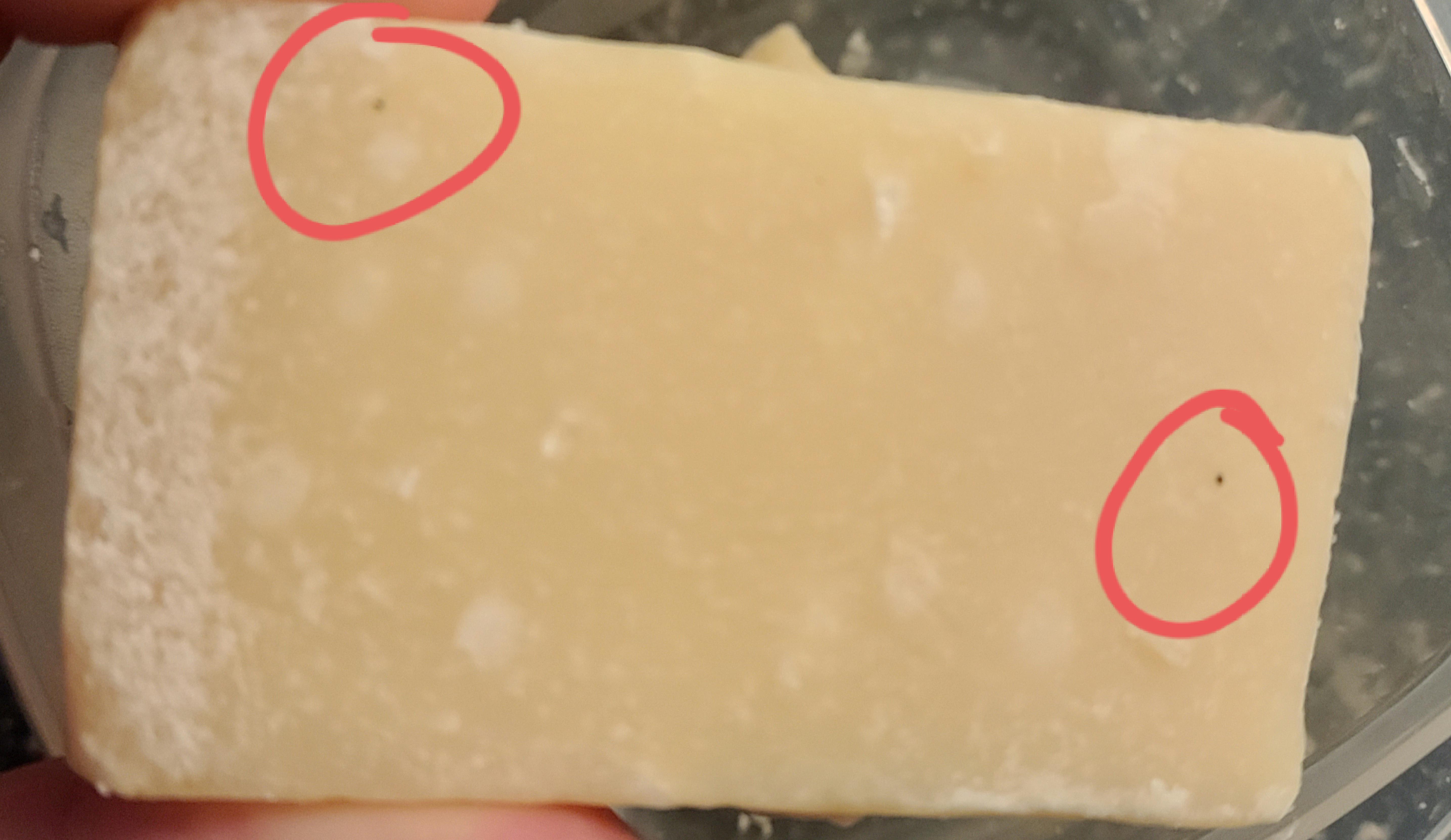Are these black spots on my Parmesean mold? I have seen blue/green in the past but I've never