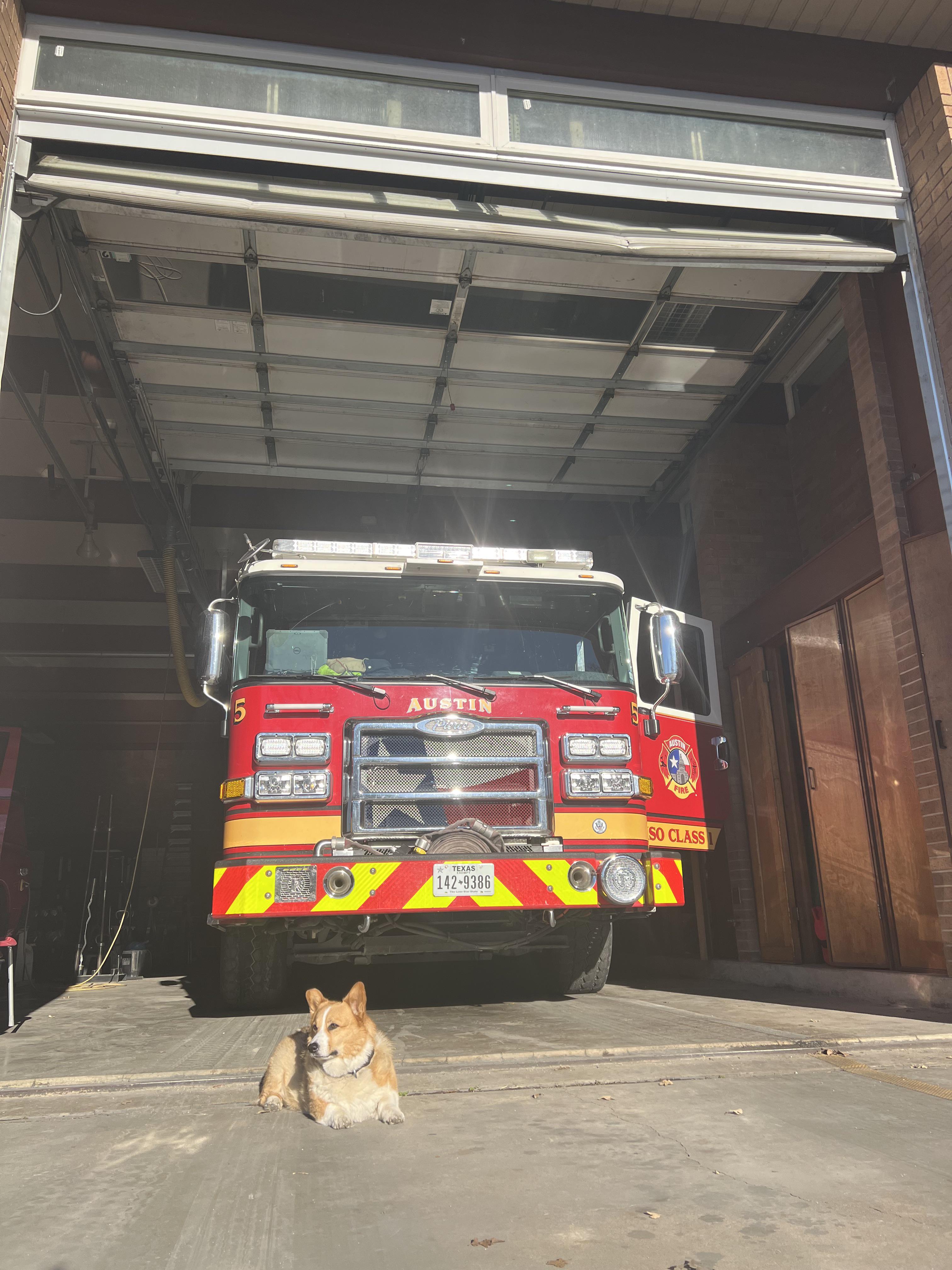 Huge thank you to the good neighbor that took my lost dog to the fire