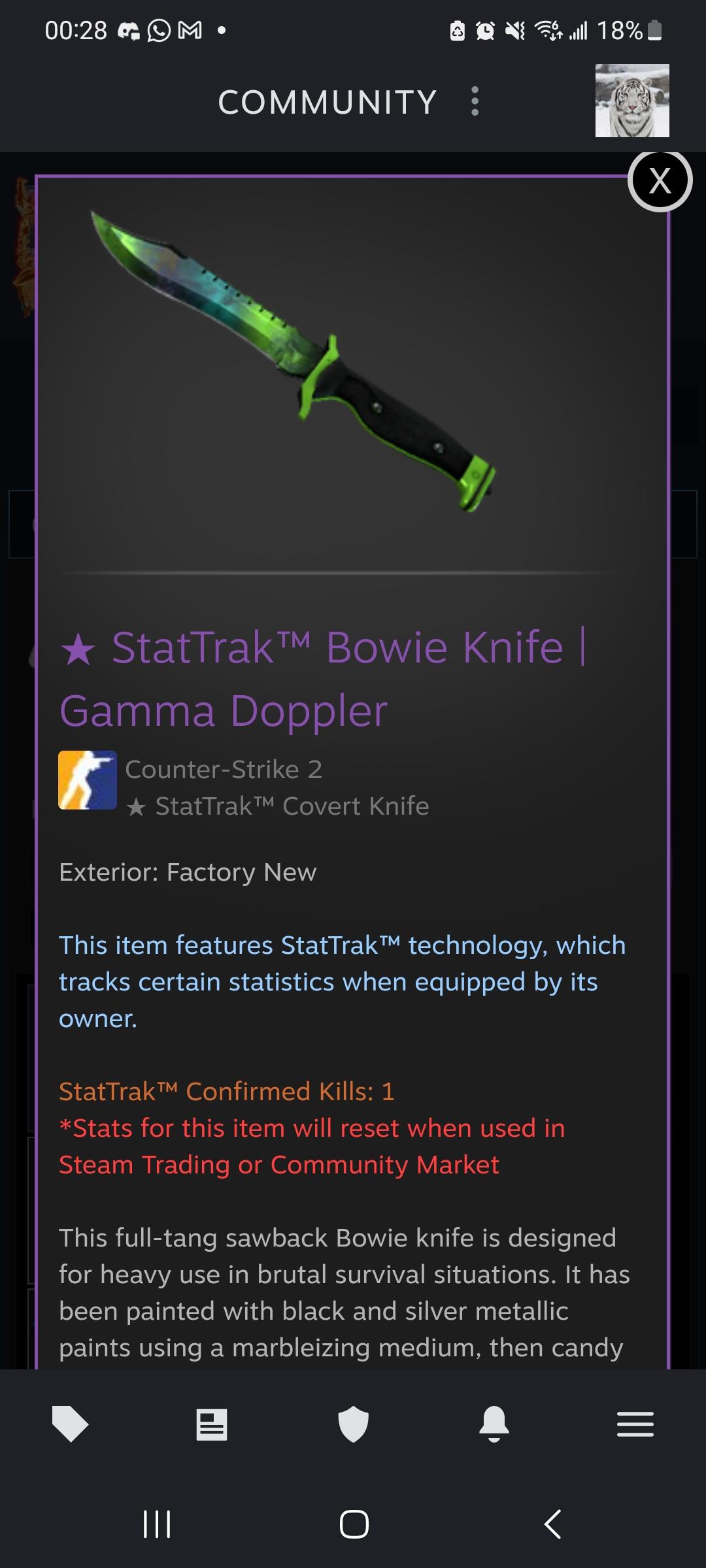 Funny Name tag suggestions for my bowie gamma doppler phase 4 please! r/csgo