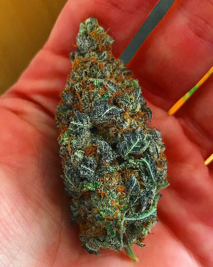 UK Cherry Zkittlez 🇬🇧🍒🌈 r/weed