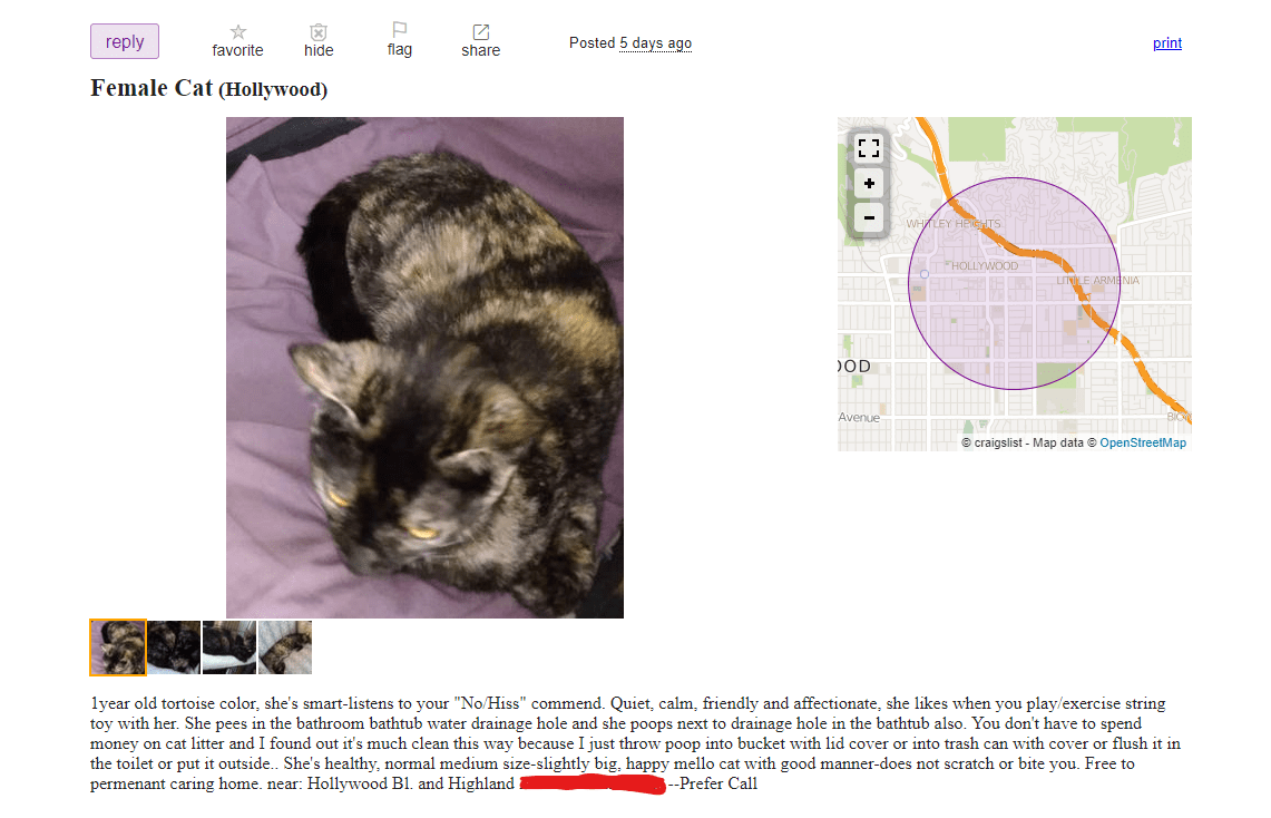 77 best Cool Cat Craig images on Pholder Crackhead Craigslist, Delusionalcraigslist and Cats