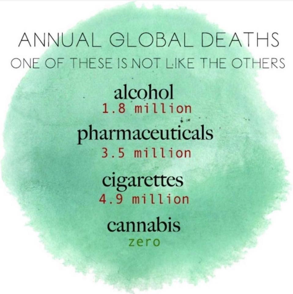 One of these is not like the others... r/CBD