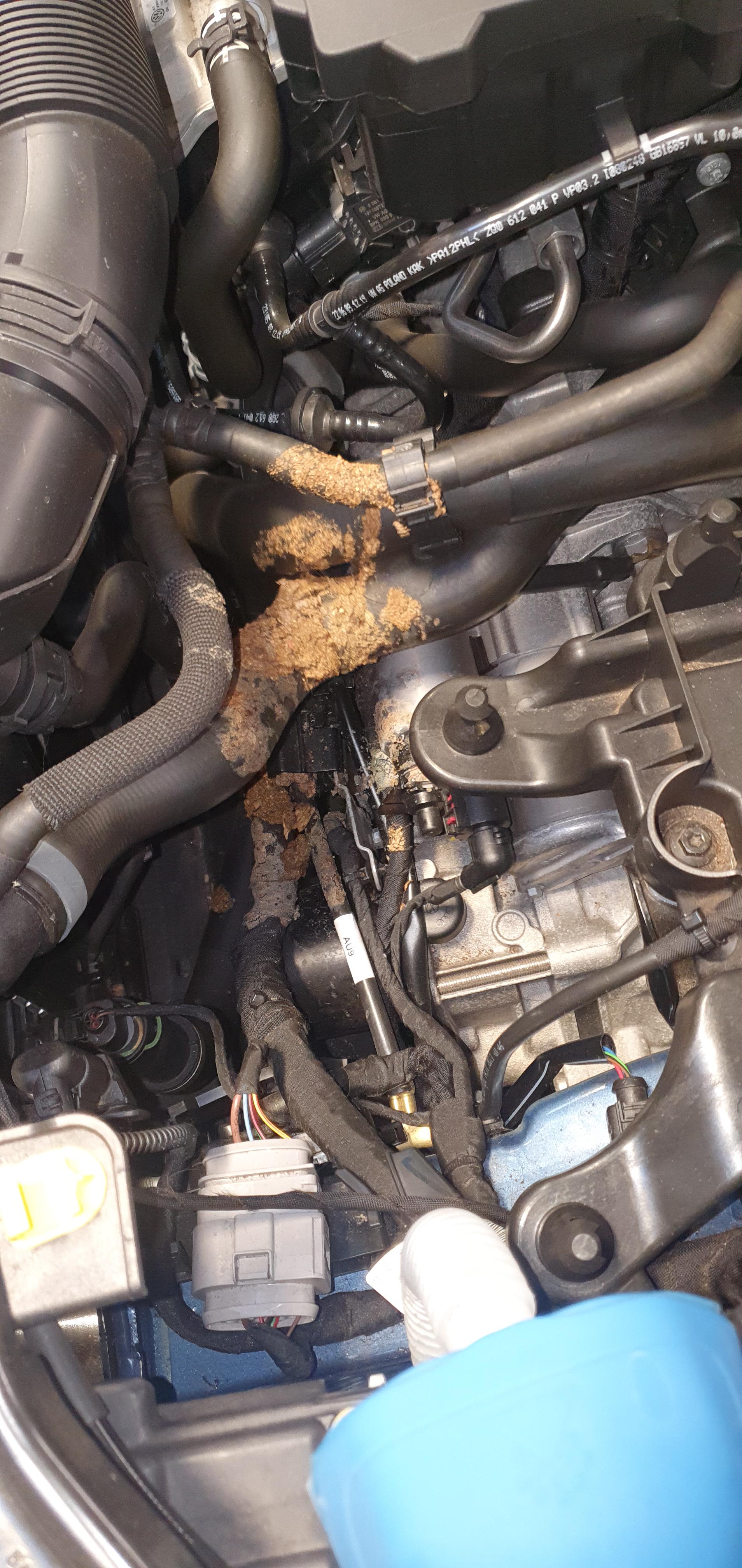 Cat vomited in engine bay. Air blower smells