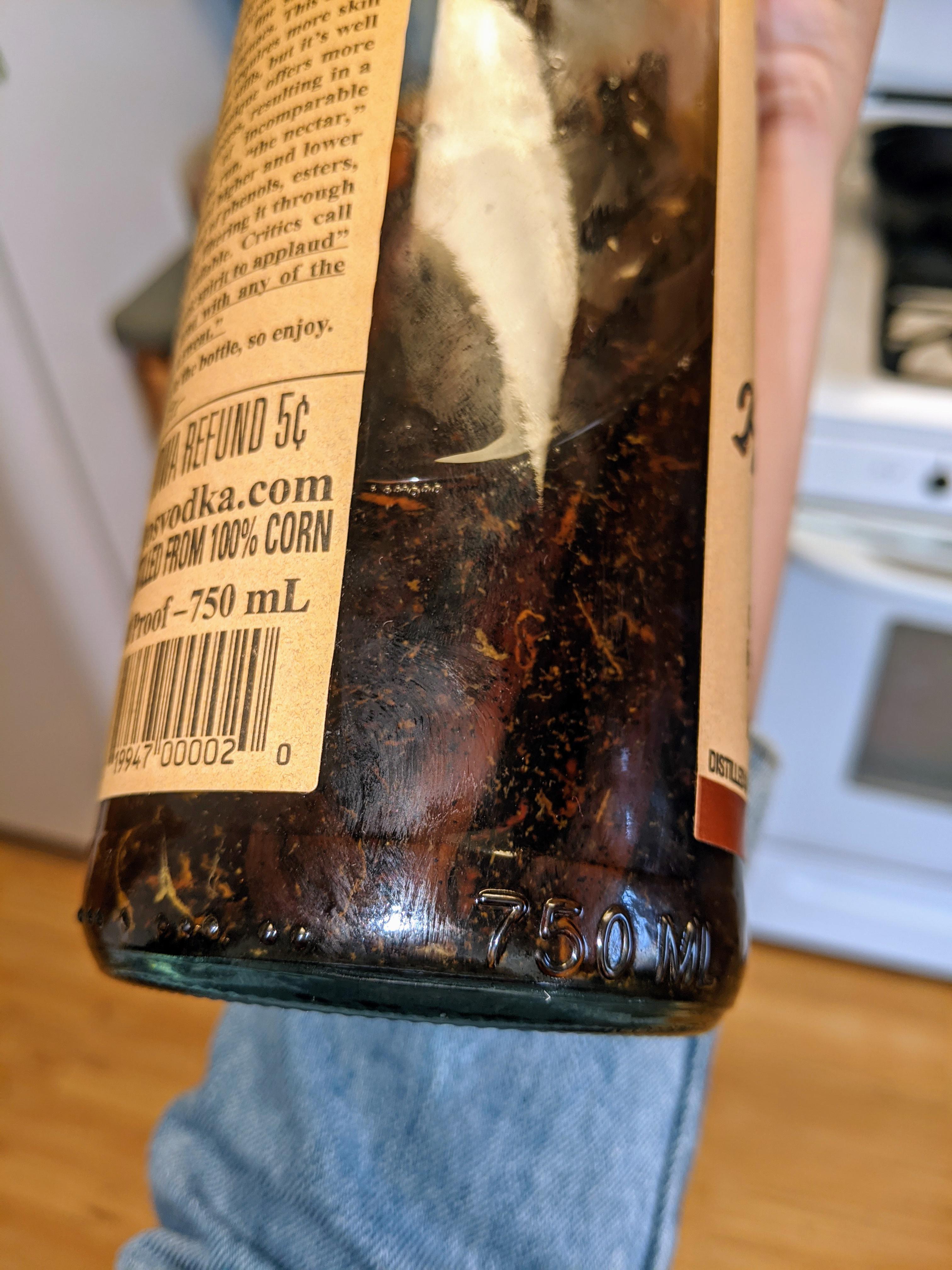Anyone know wtf is floating in my vanilla? Vodka & vanilla r/Baking
