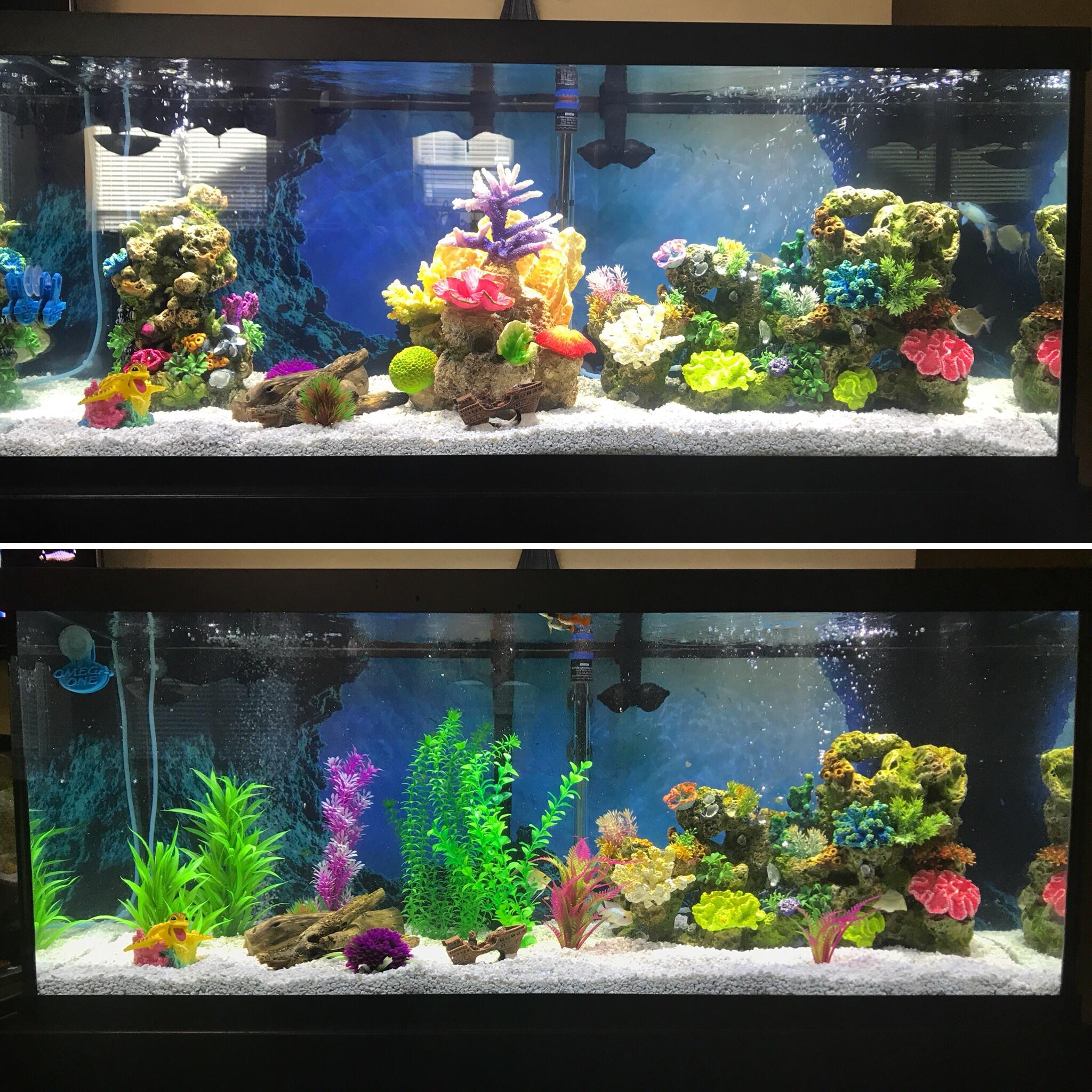 In the process of rescaping with fake plants to go for the more