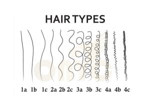 The hair type guide . : r/Naturalhair