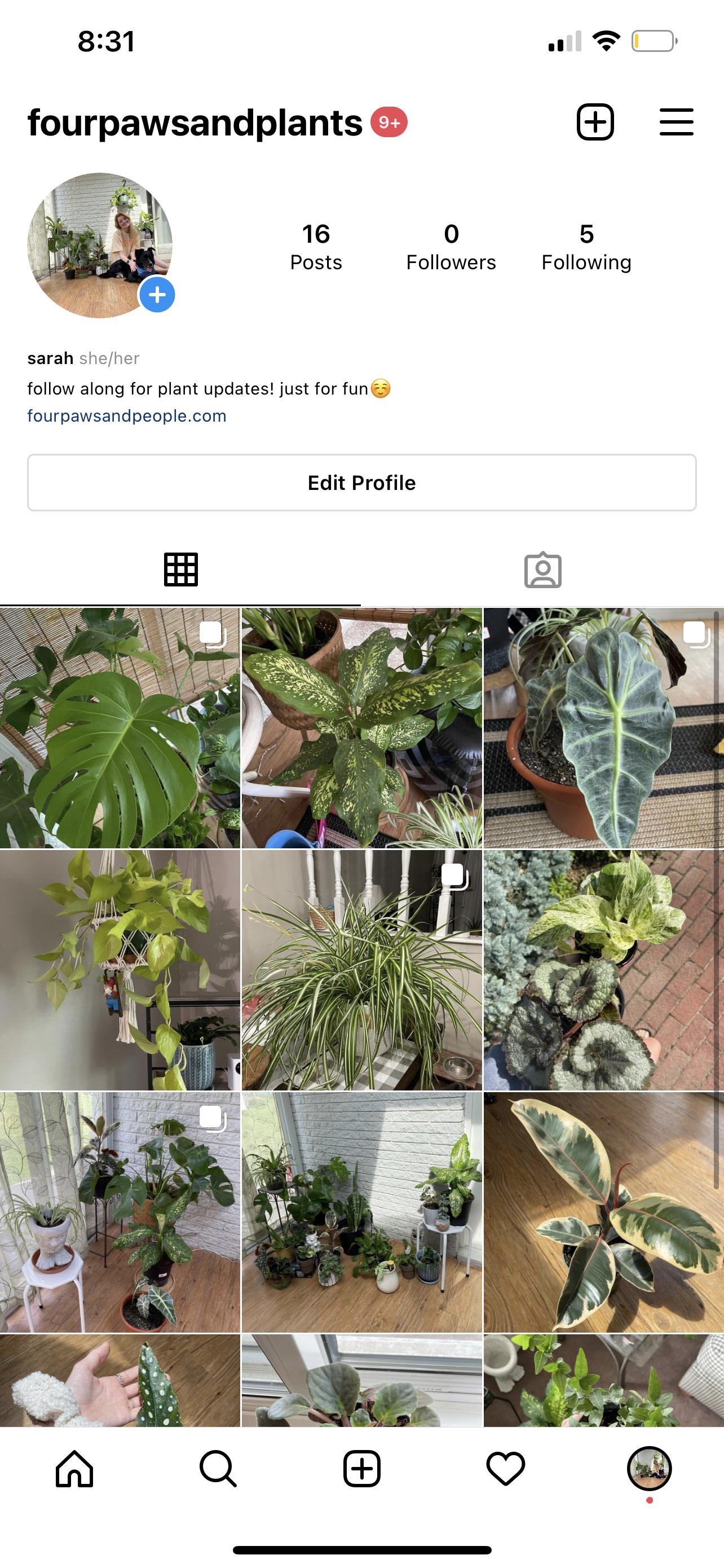 drop your plant instagrams!🤩 i want to follow everyone! r/houseplants
