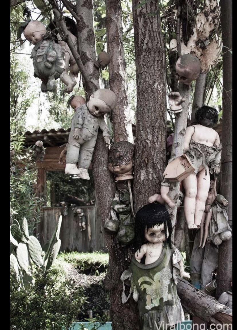 Island of Dolls (in Mexico City) r/Weird