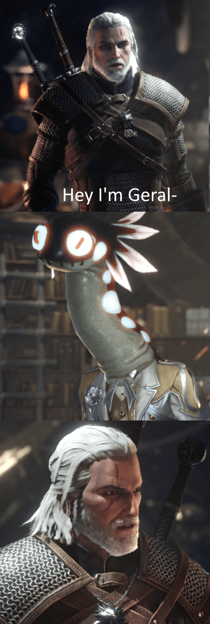 One more reason Geralt hates portals r/MonsterHunterWorld