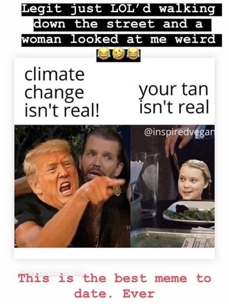 The Best Memes