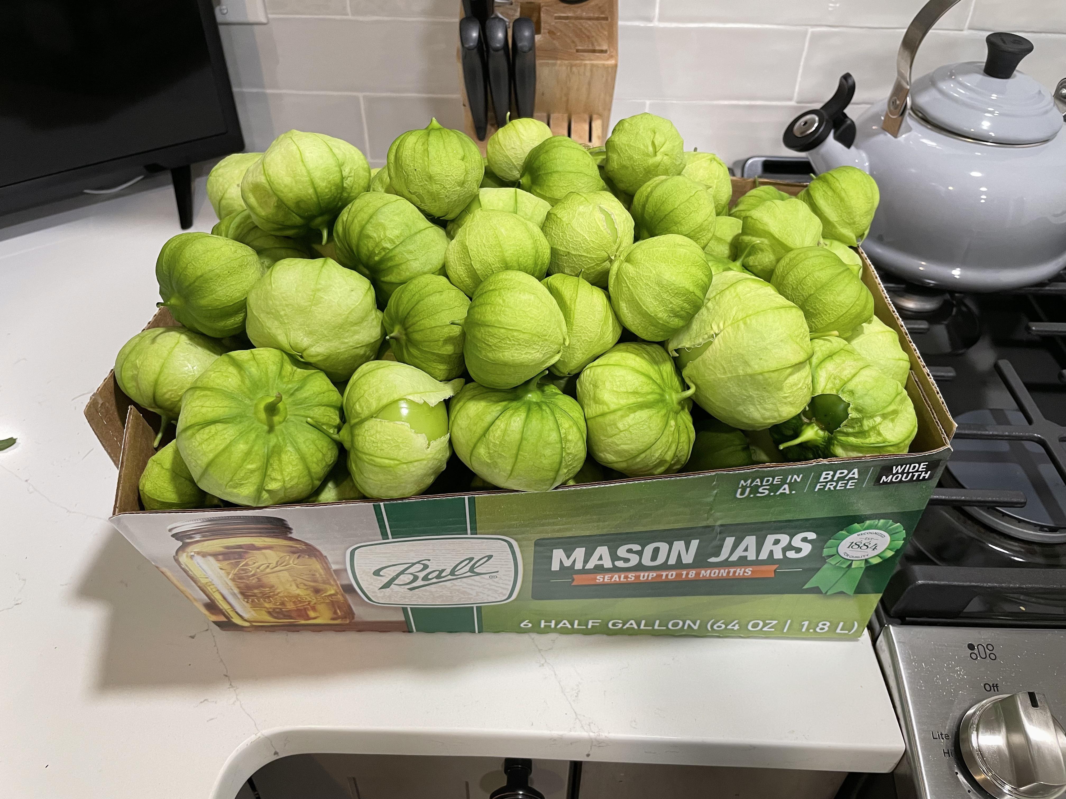 Thoughts for 19 pounds of tomatillos? r/Canning