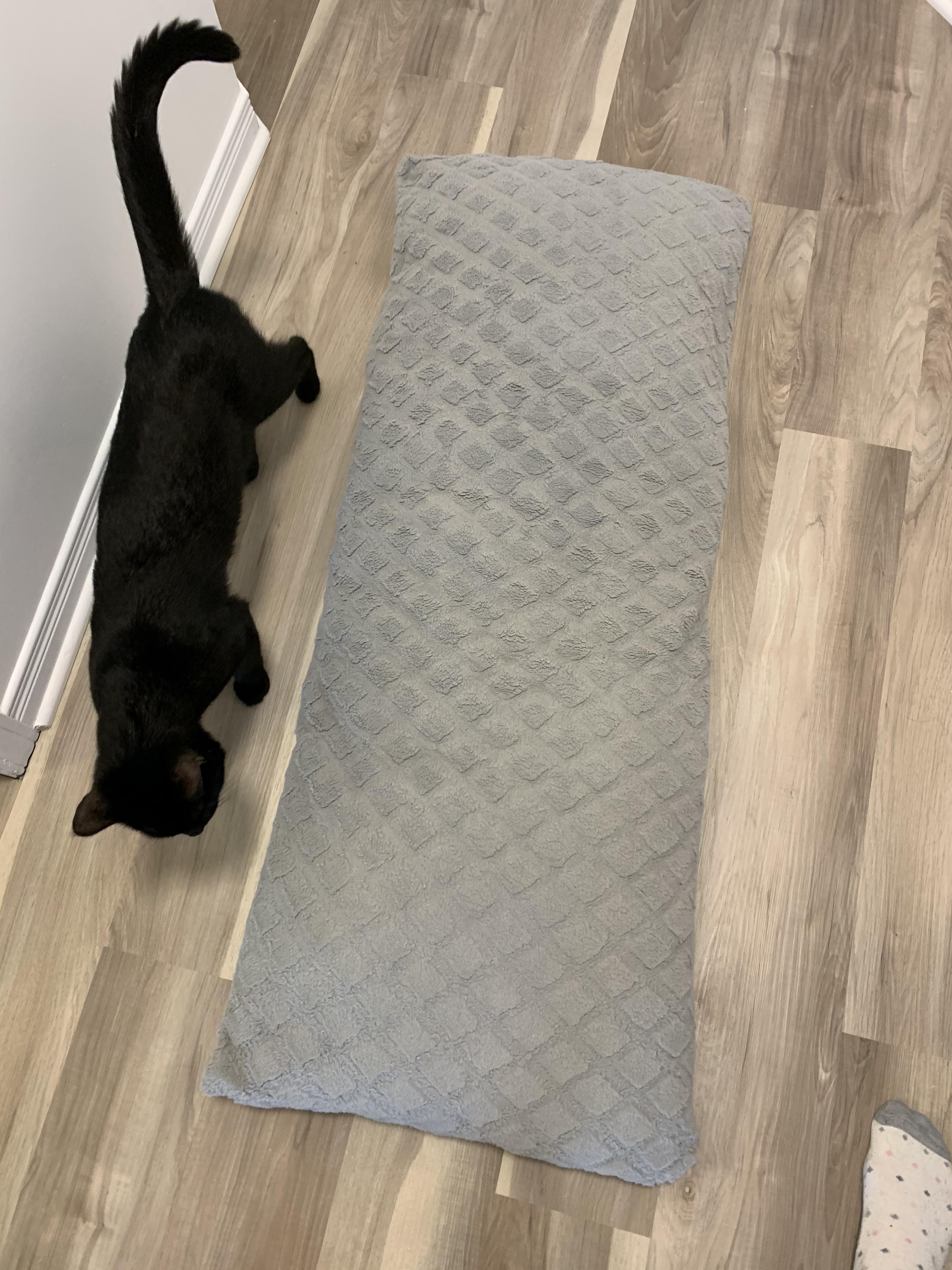 Old pillow smelling like urine, cat for reference r/laundry