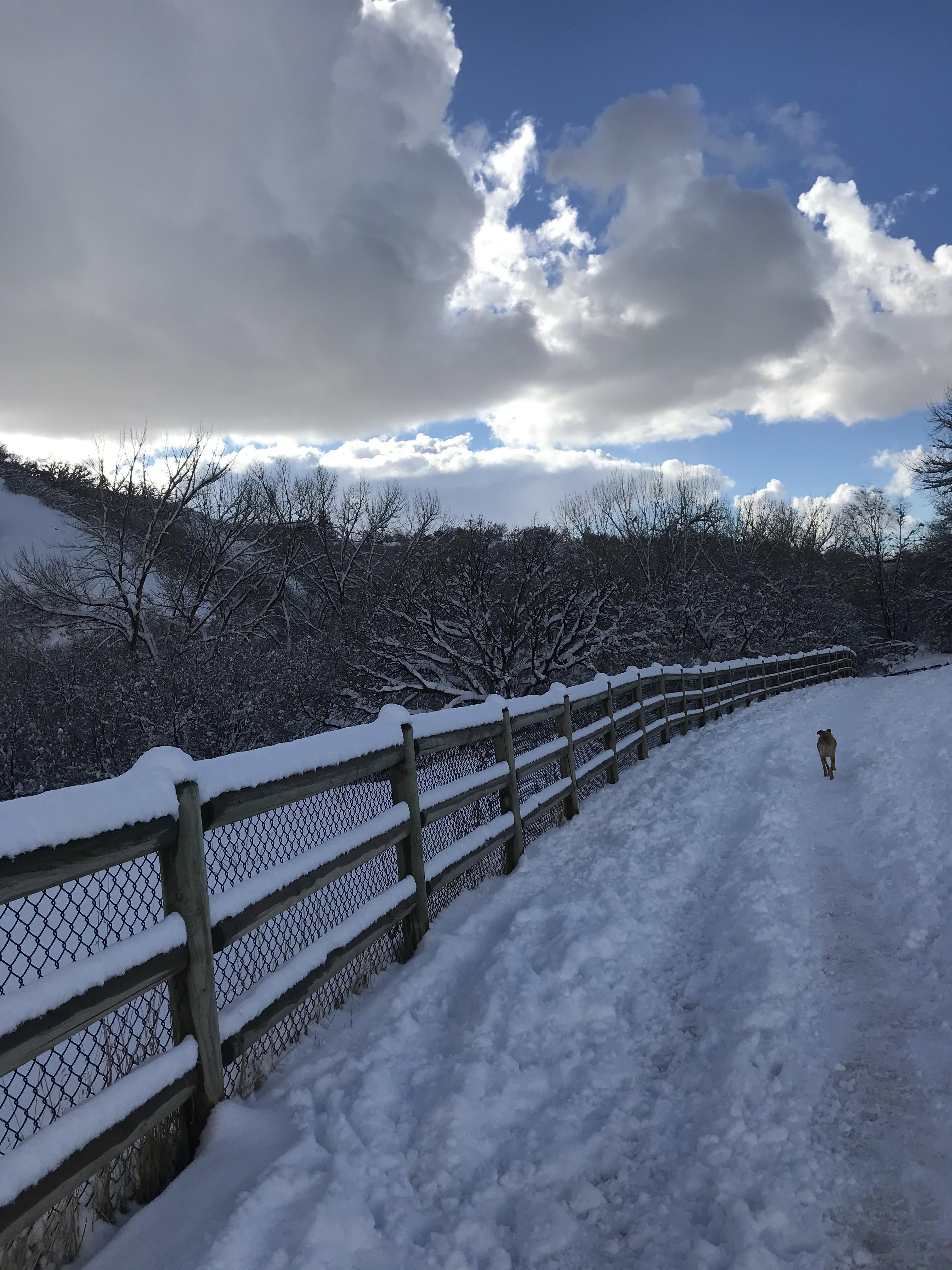 Tanner Dog Park, SLC r/RunningWithDogs
