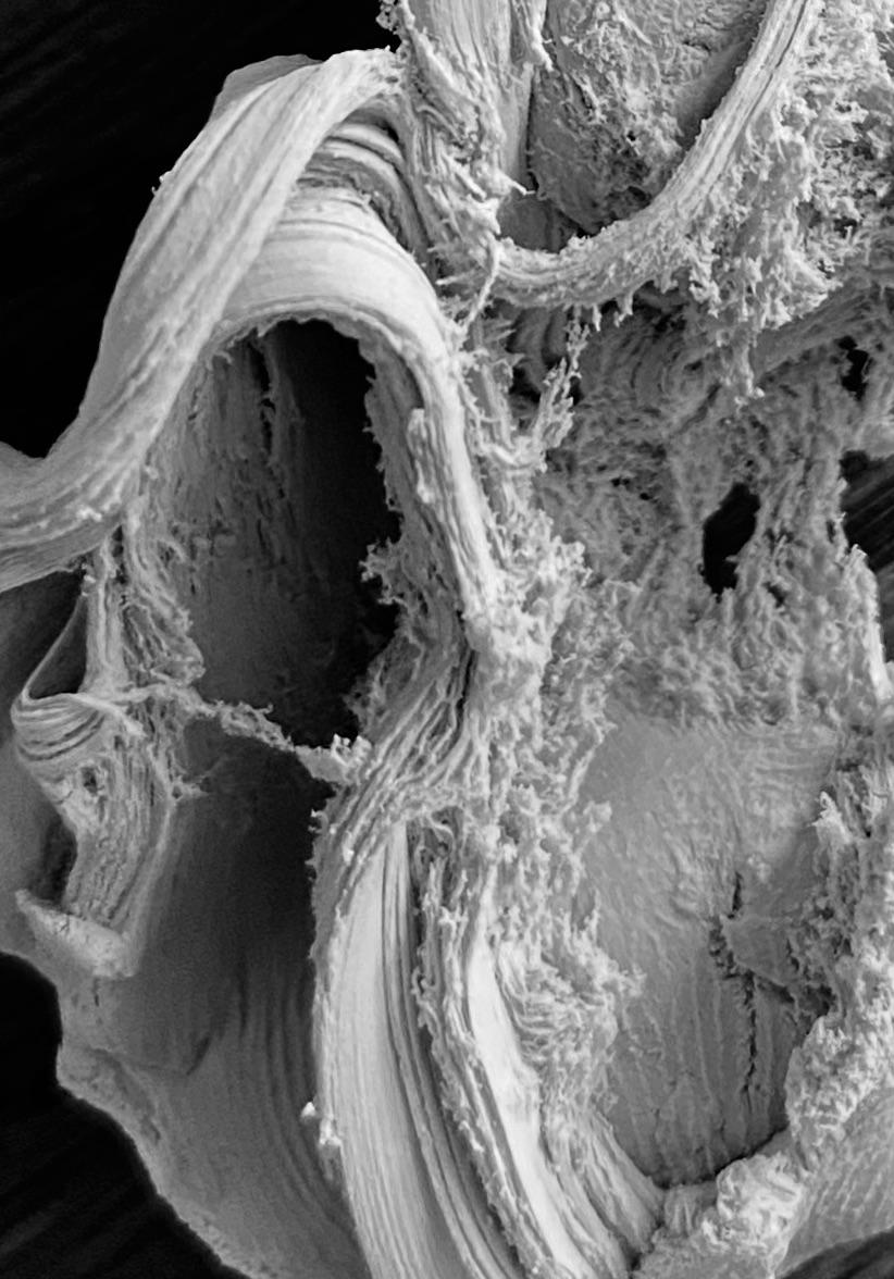 Photo of blutack taken with iPhone r/mildlyinteresting