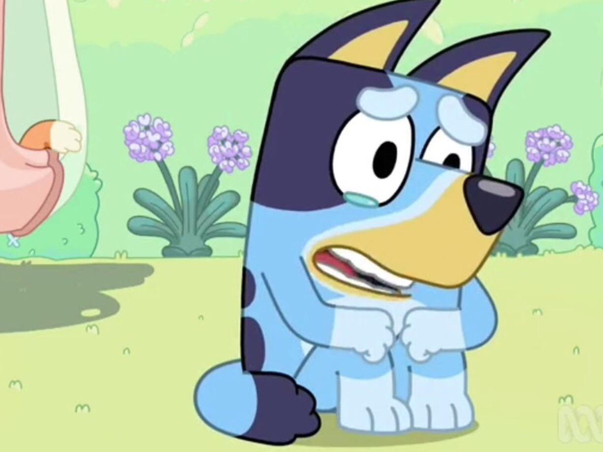 When you live in Poland and you can’t buy Bluey merch because it doesn