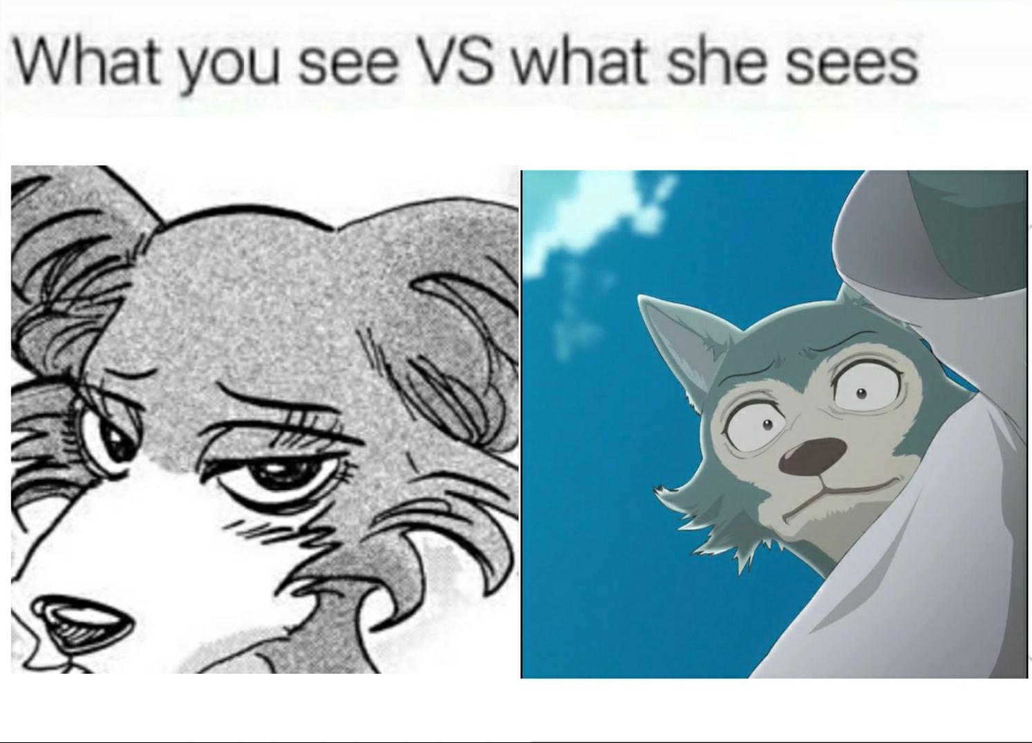I'm sorry i just can't seem to like legosi x haru please don't kill me