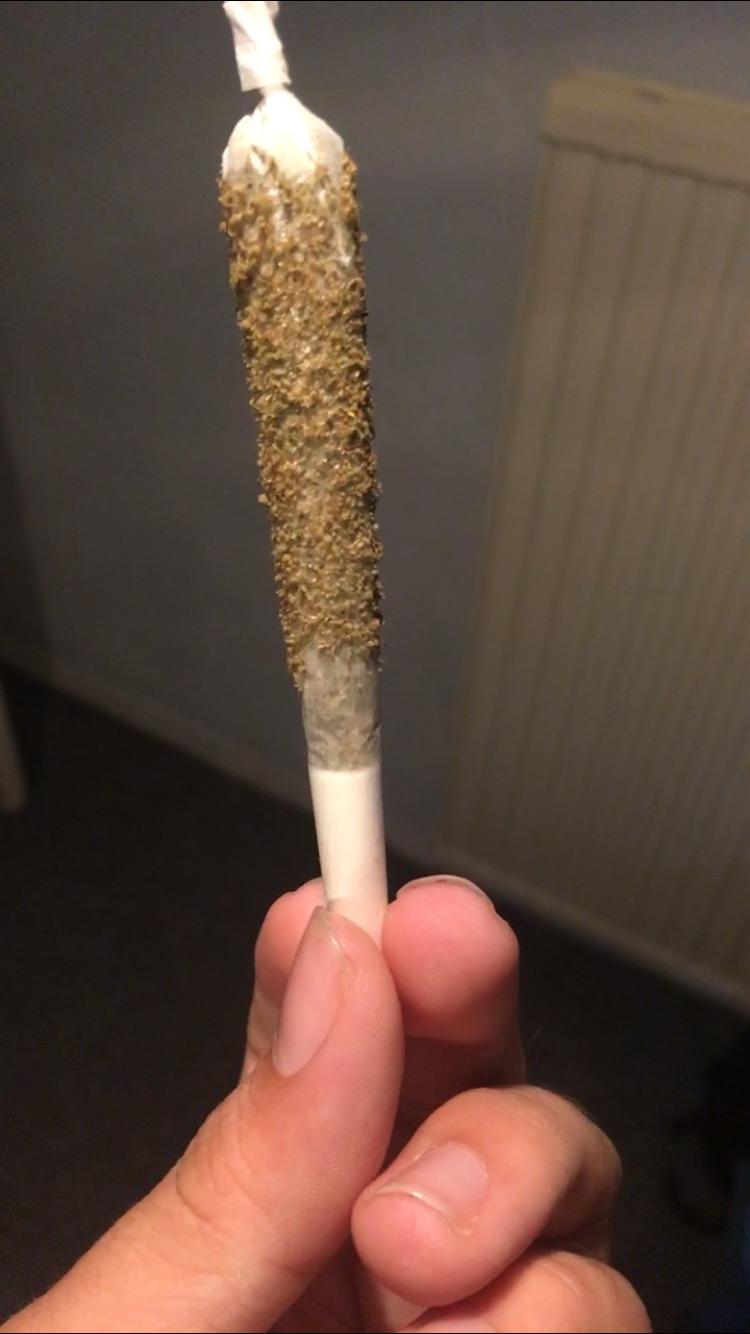 First honey kief joint r/weed