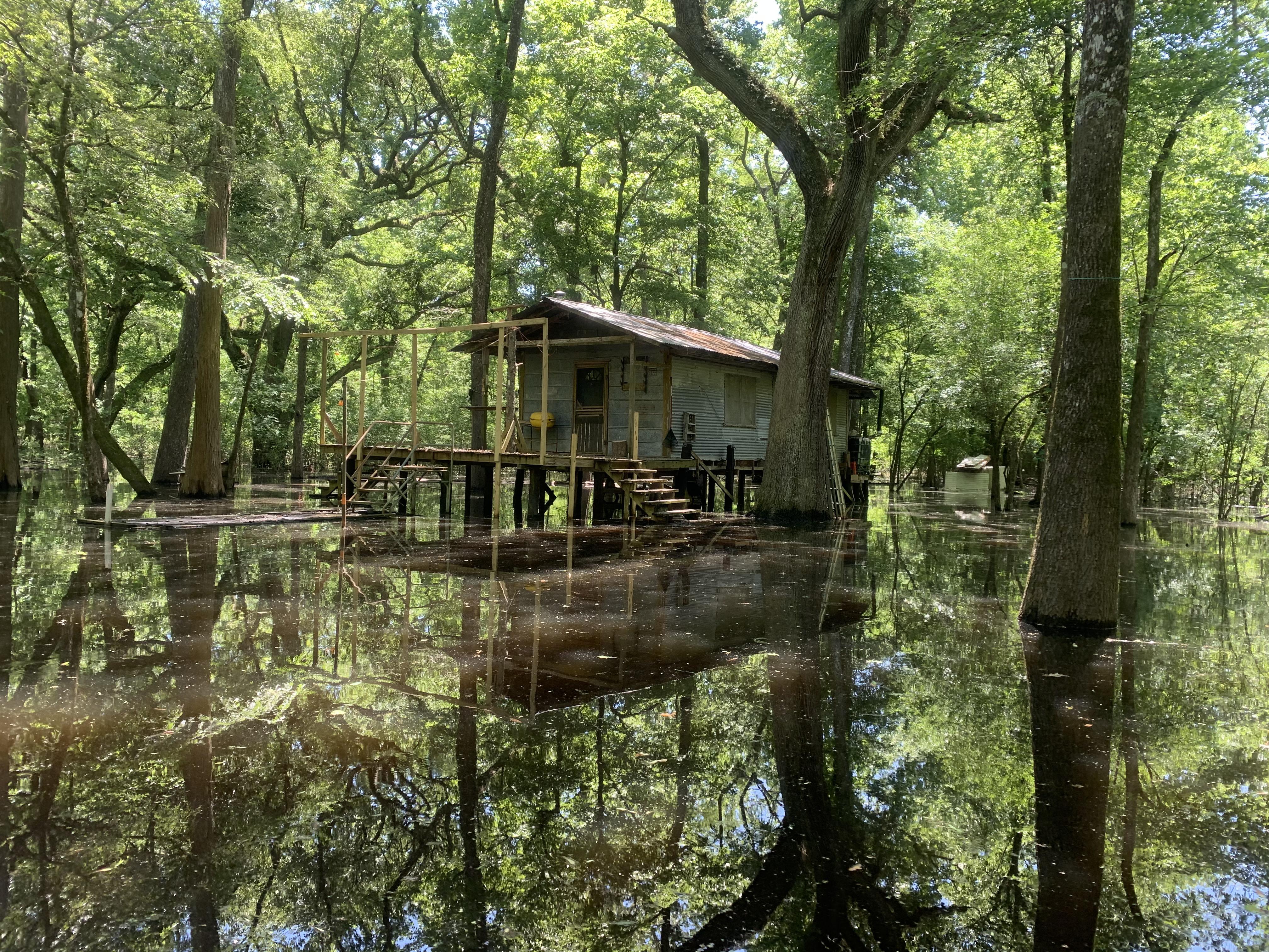 Hunting camp in the flooded atchafalaya swamp r/Outdoors