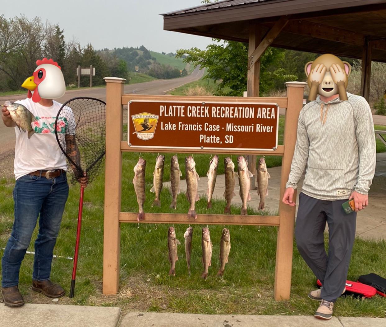 3 limits. Lake Francis Case, South Dakota. r/WalleyeFishing