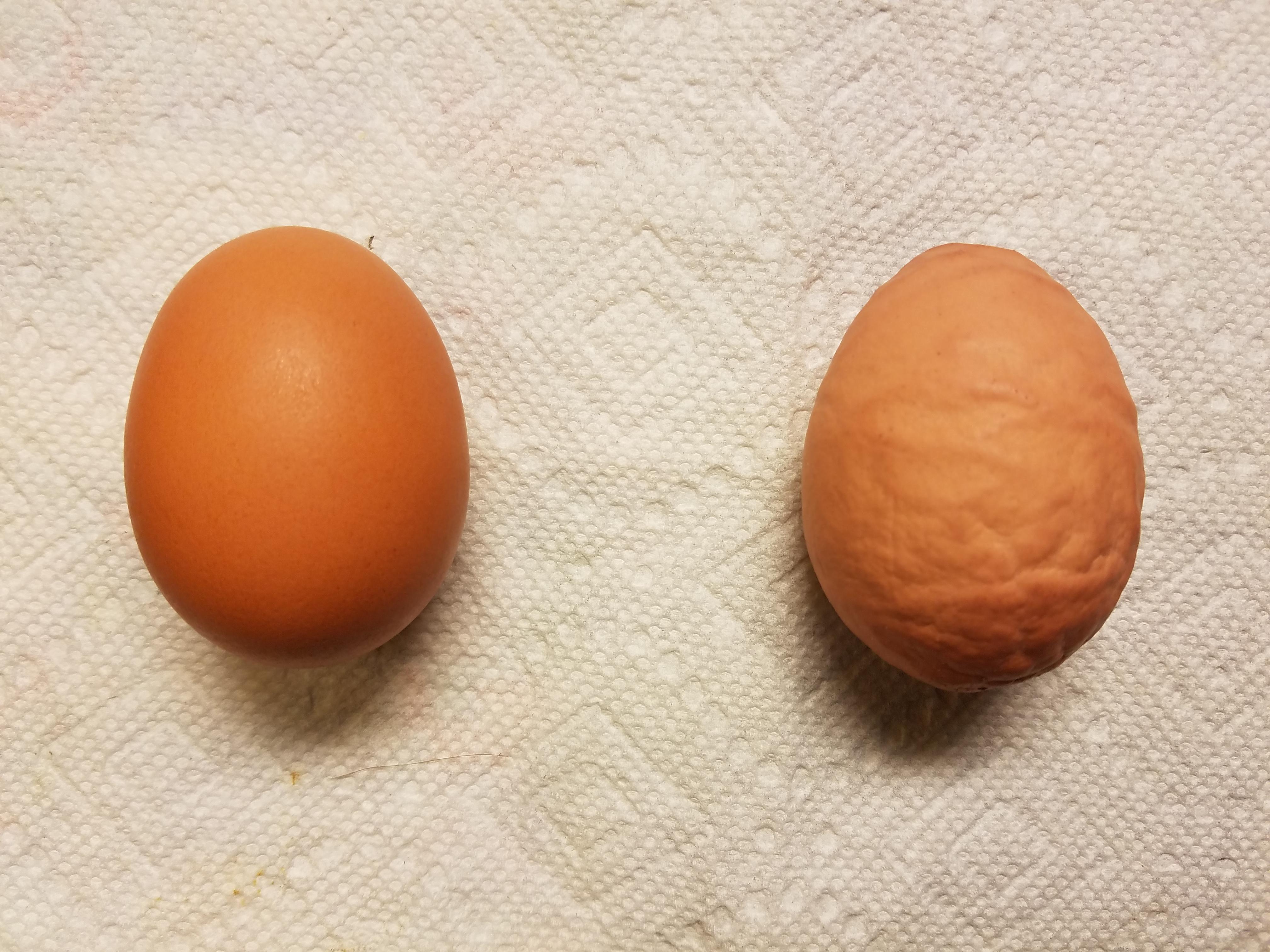 What caused this weird egg? (Normal egg on left for comparison) r