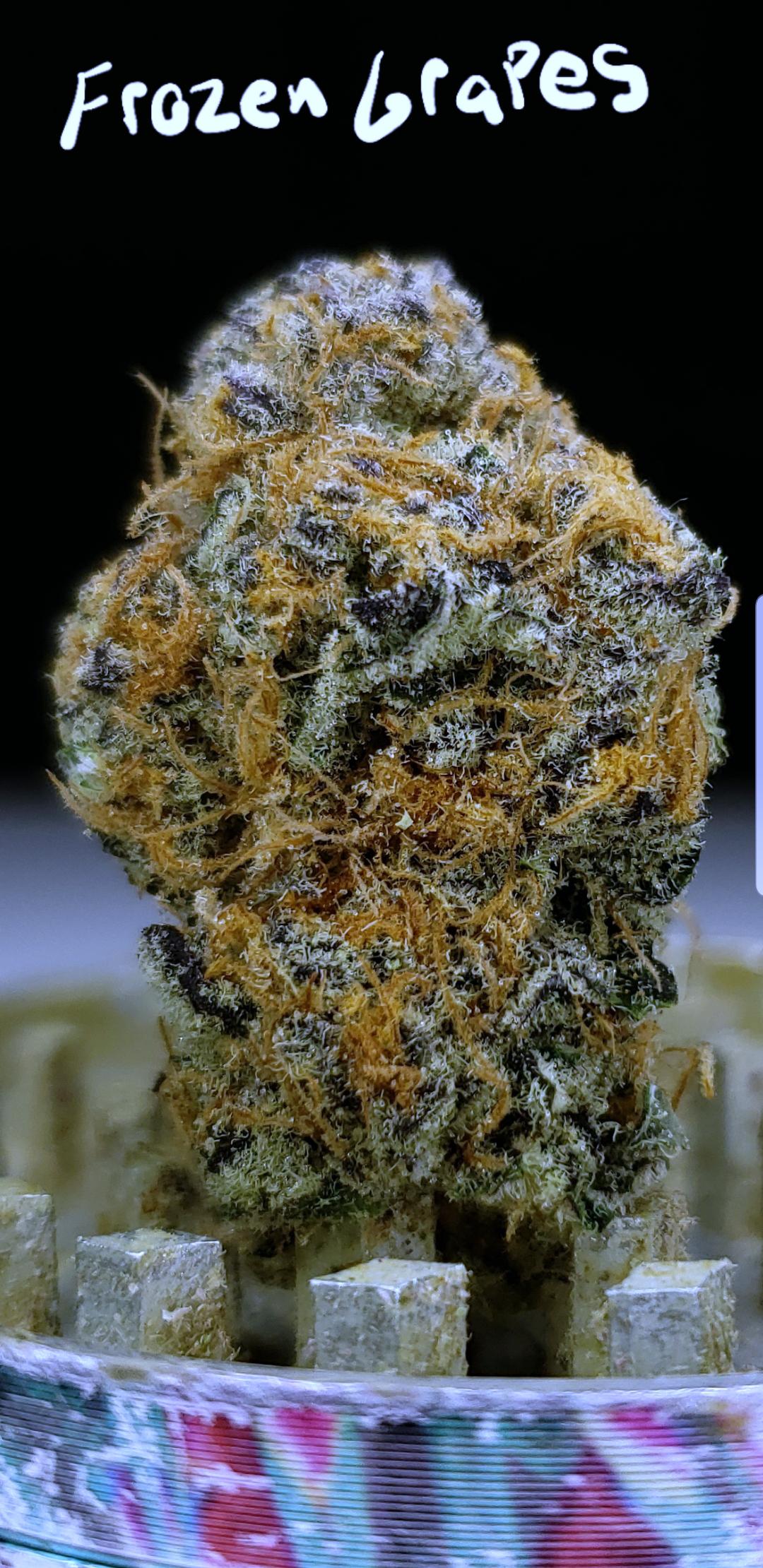 Frozen Grapes grown by Hideaway Farms. Bought at The Dankery (Tulsa