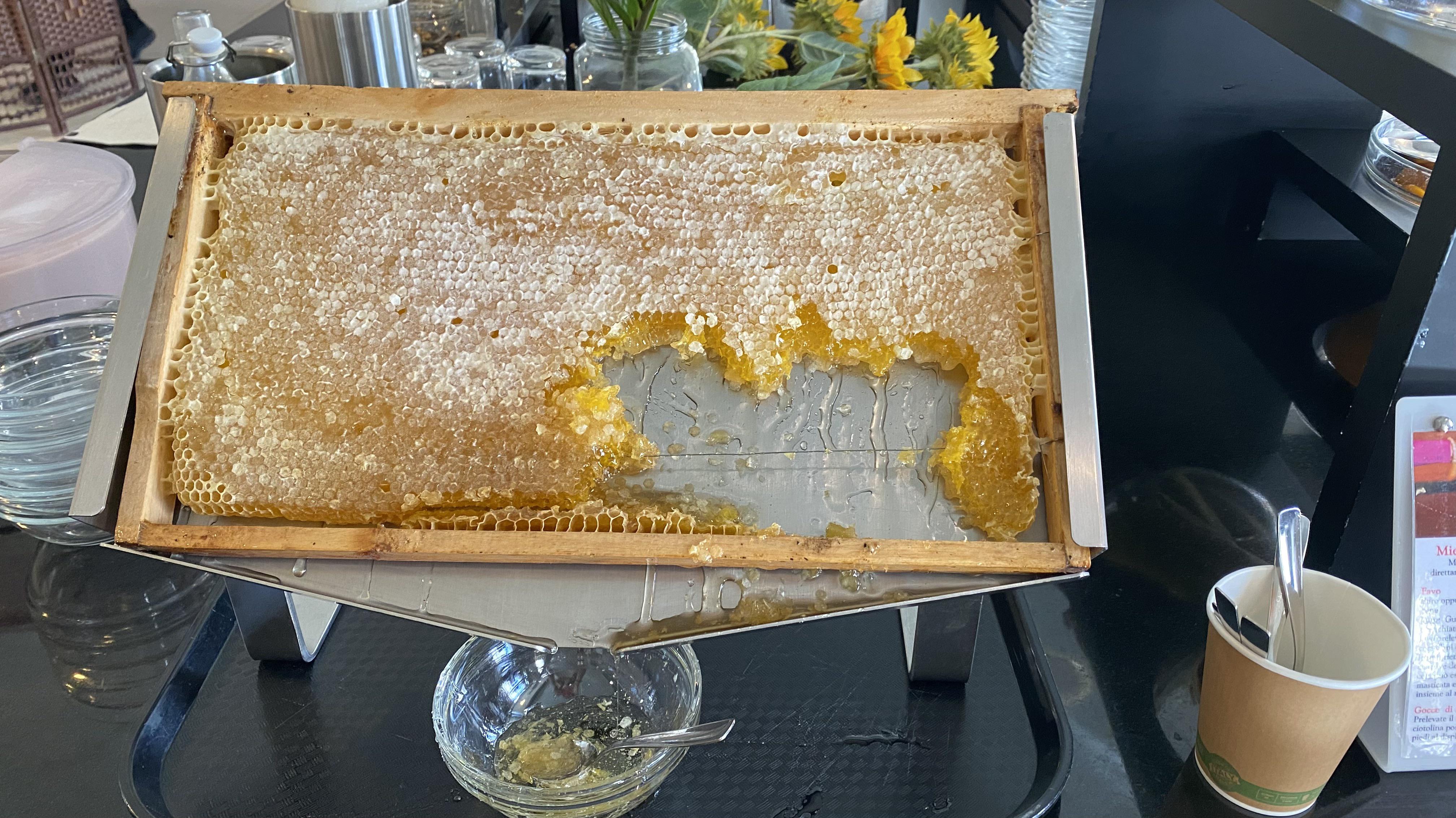 Hotel serving at breakfast r/mildlyinteresting