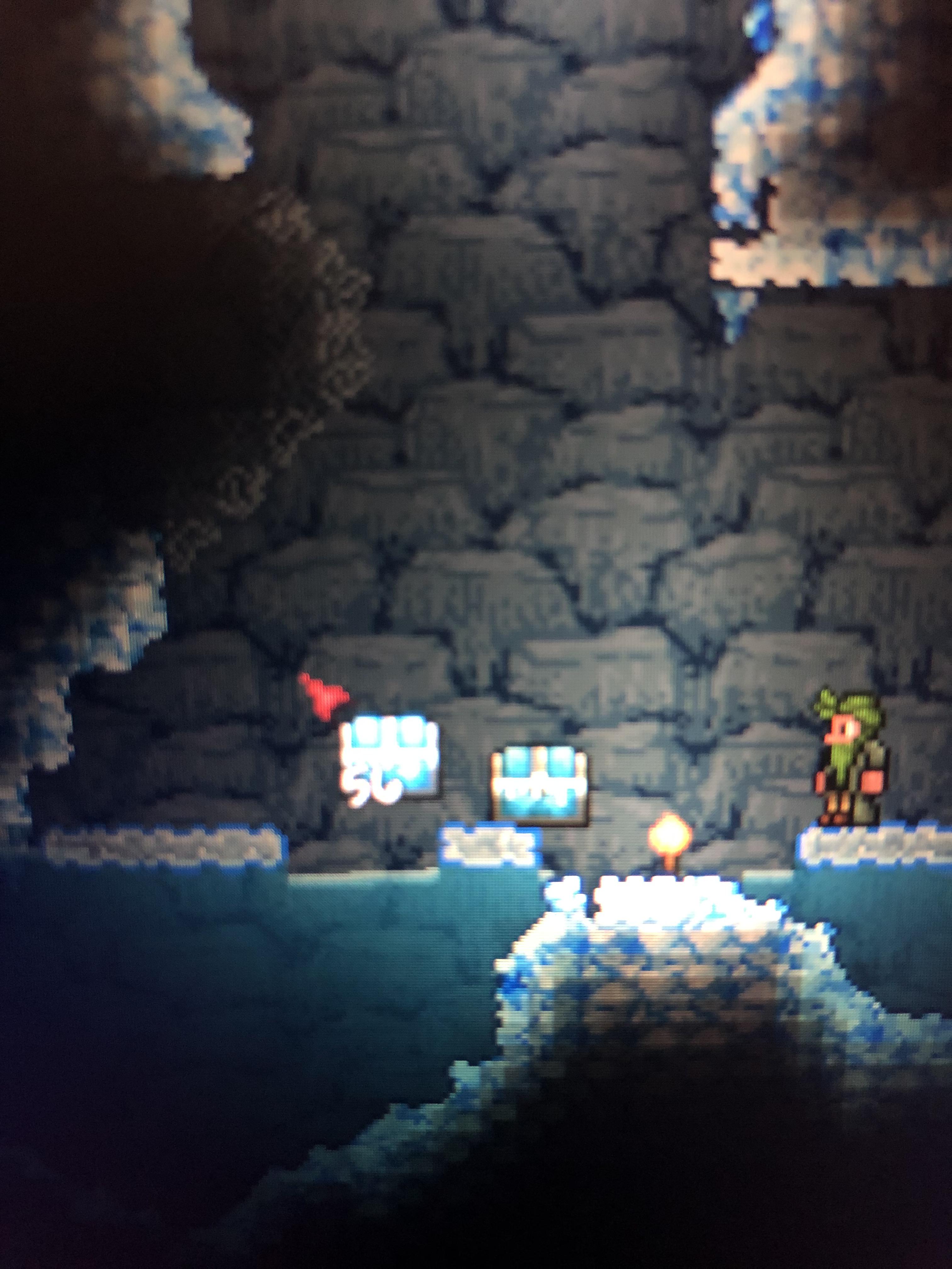 Found this infinite ice chest that won’t destroy r/Terraria