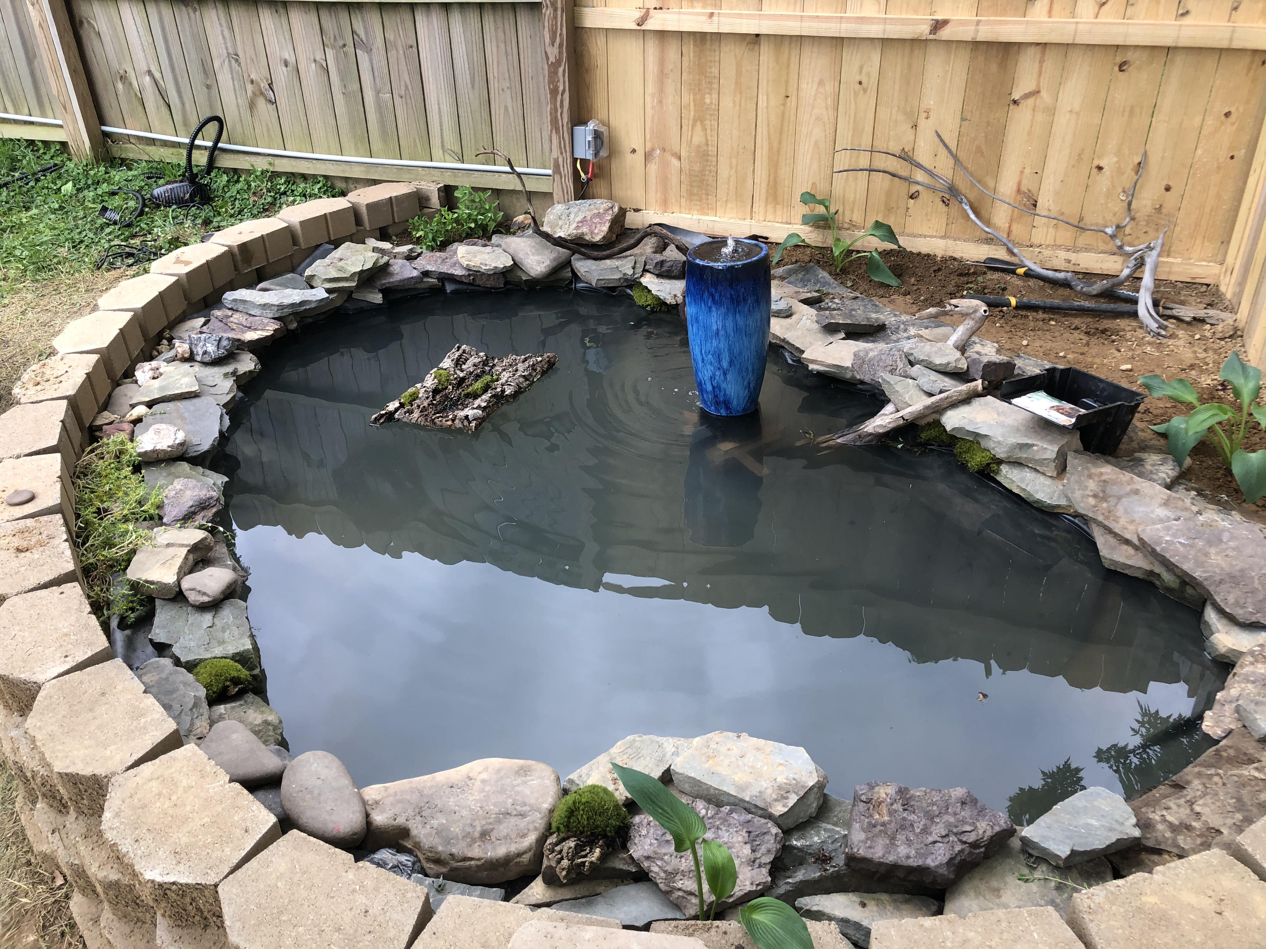 Outdoor Turtle Pond