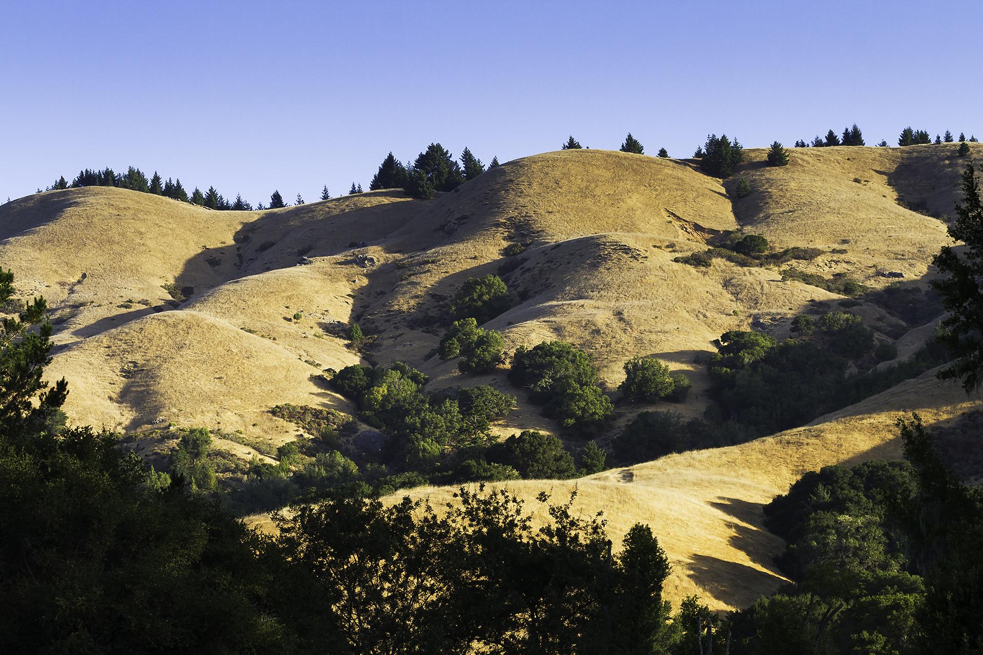 California Hills at sunset in San Geronimo Valley, Marin County, CA