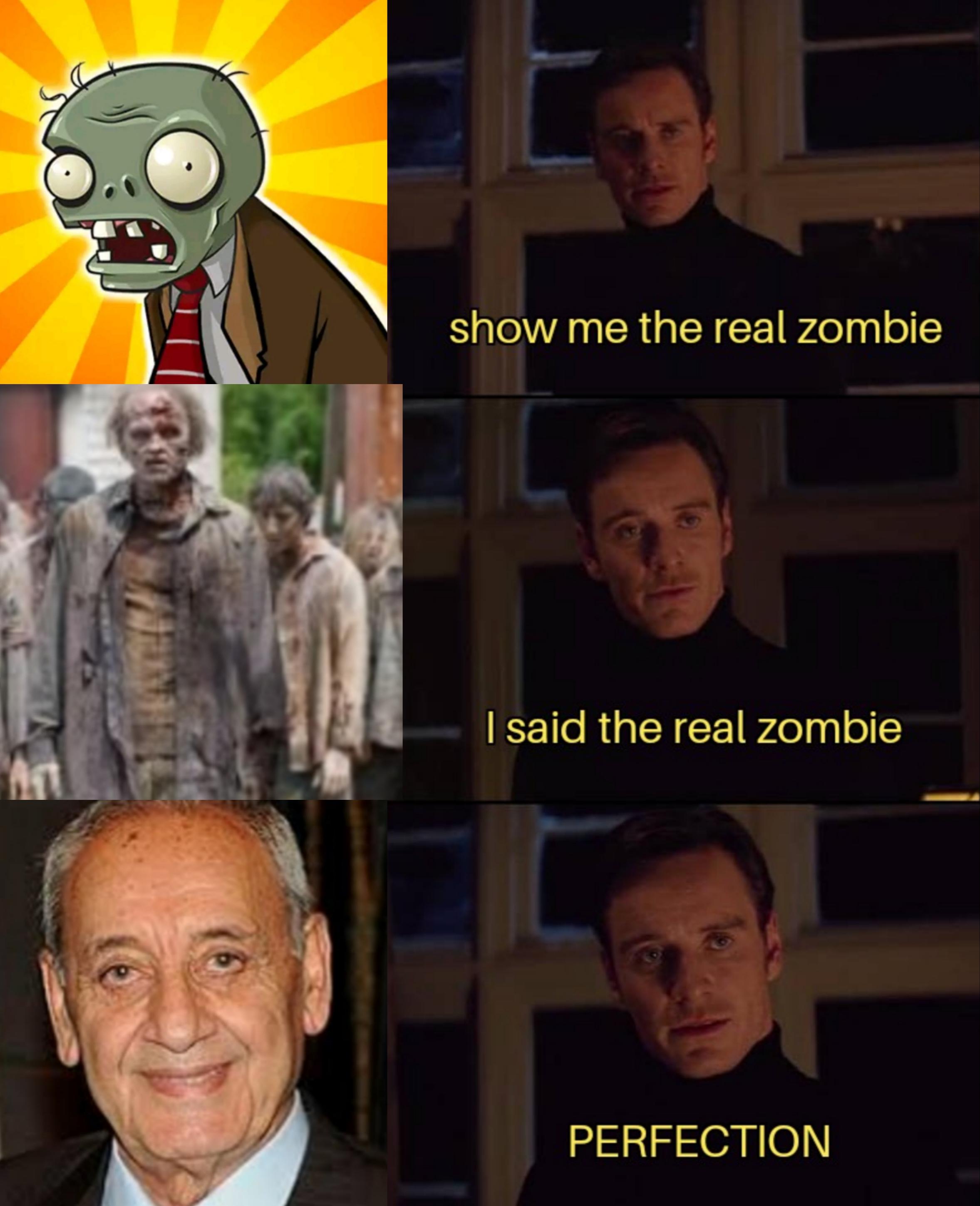 The only half zombie half human in the world r/lebanonmemes