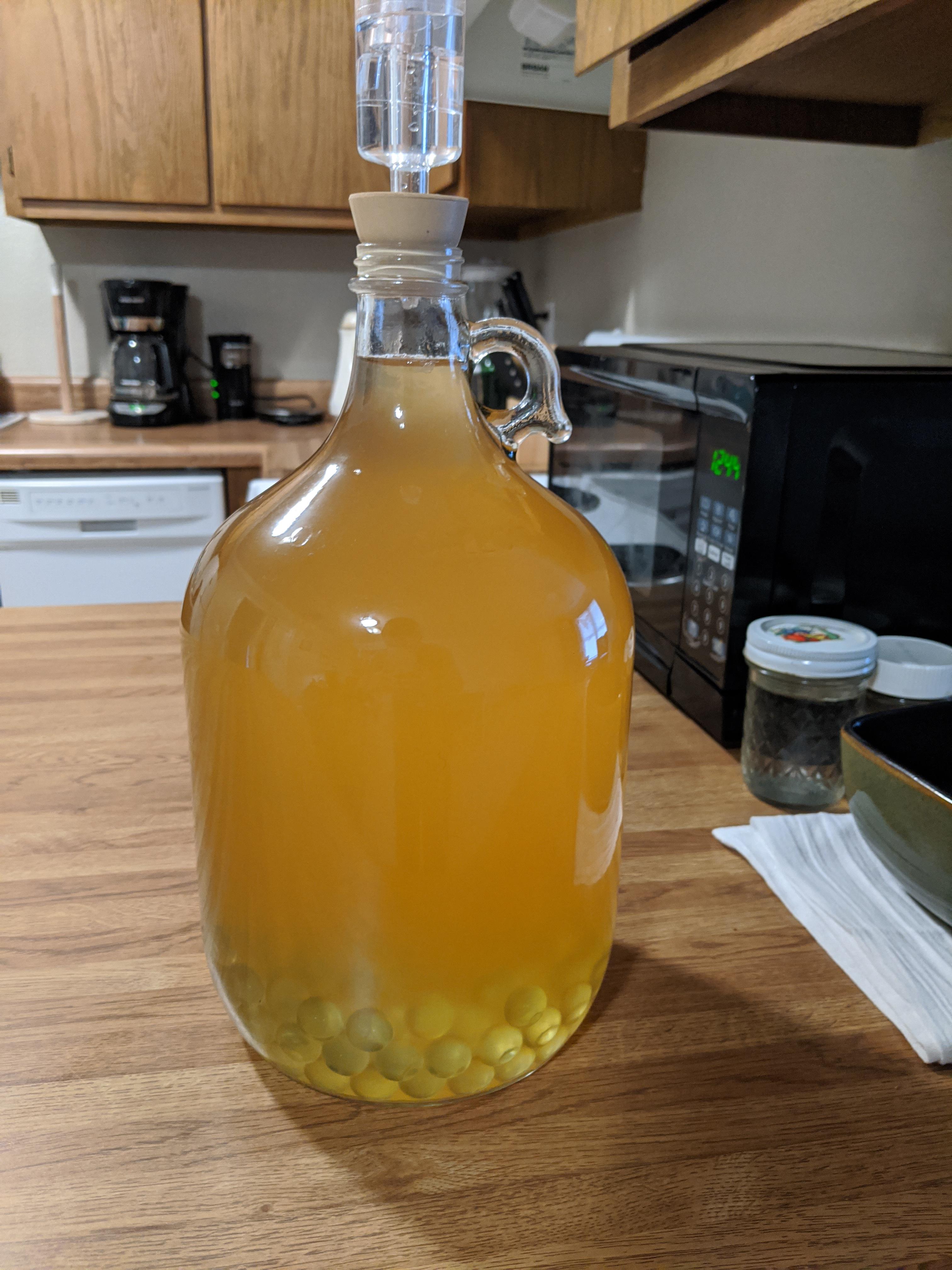 Mead update 13 ABV, dry, fizzy, and hot. Gonna let the mead clarify