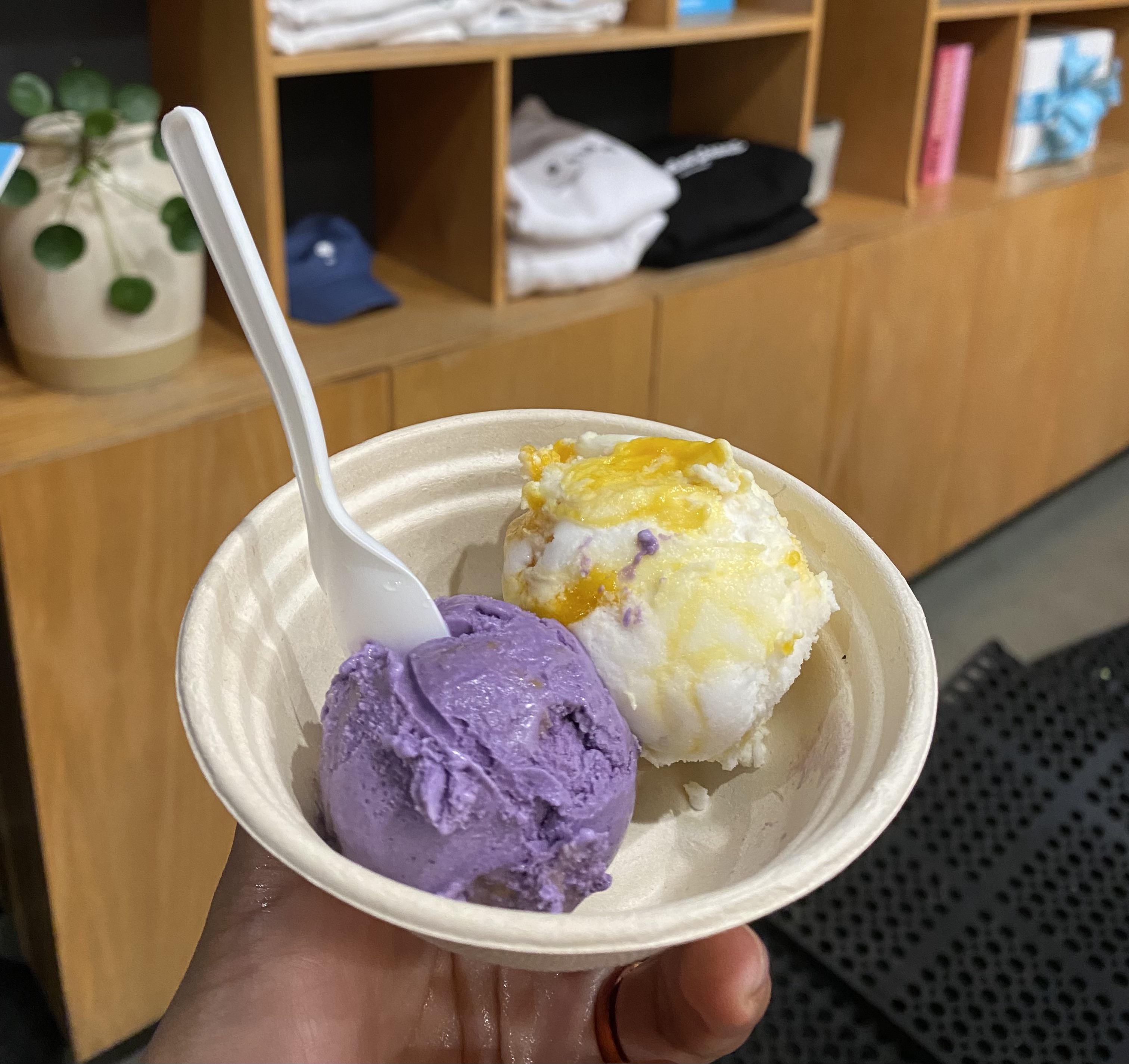 Ube malted crunch and vegan mango sticky rice ice cream from Wanderlust