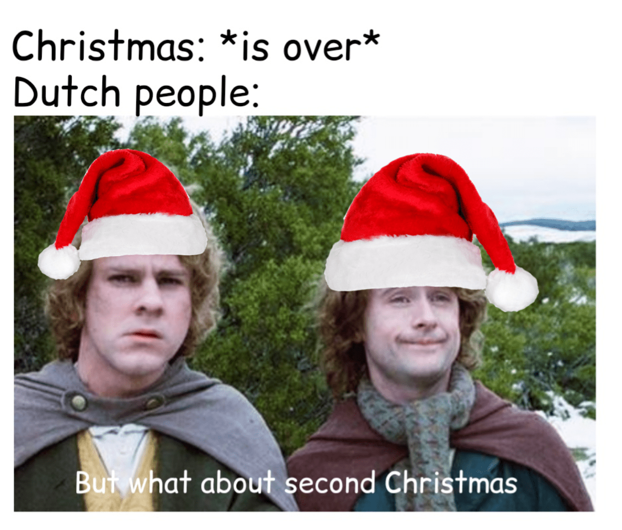 Second Christmas r/memes