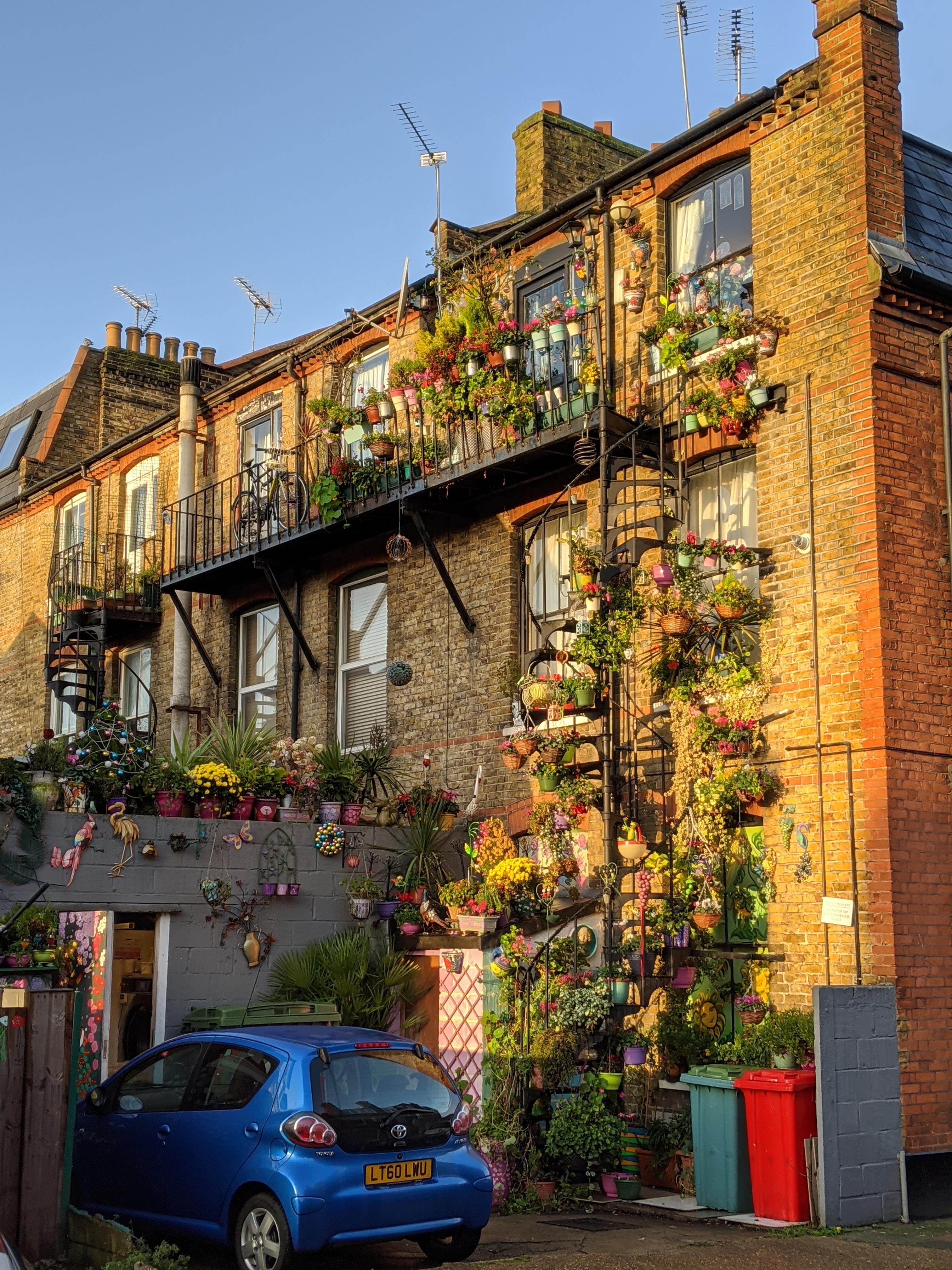 The hanging gardens of St Margarets london