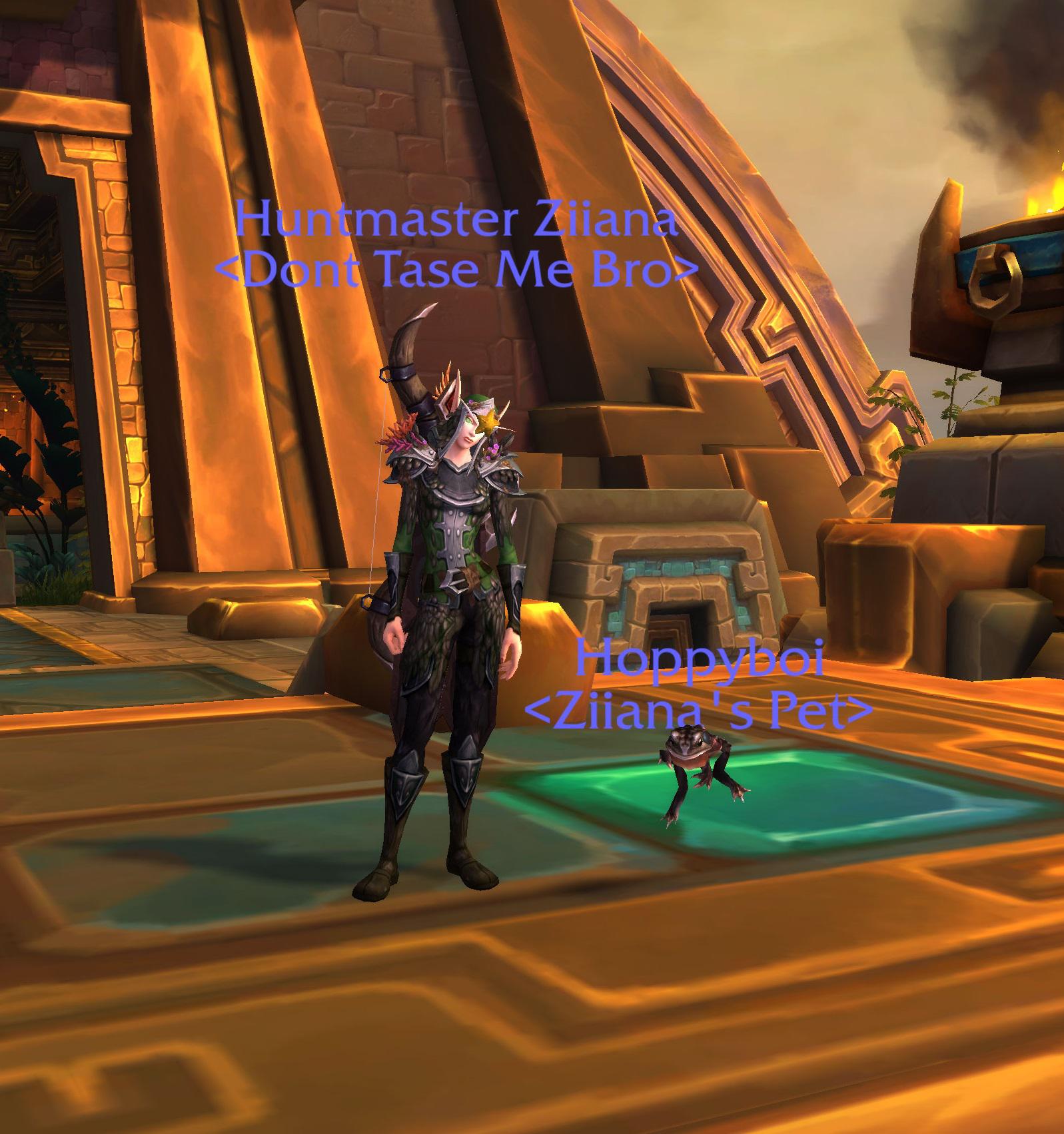 I present to you, the best hunter pet in WoW r/wow