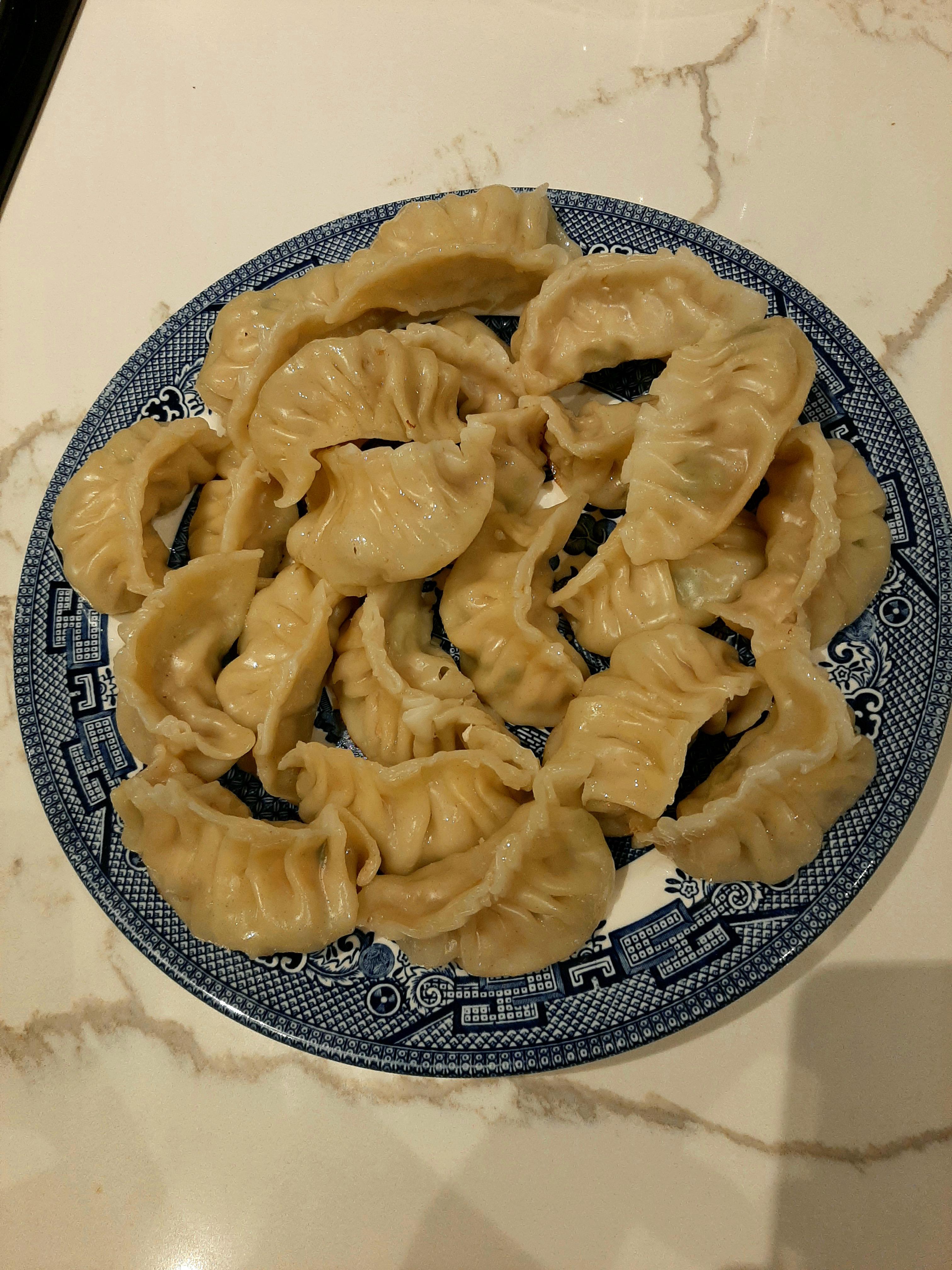 Made a full plate of beef gyoza! Only_Food