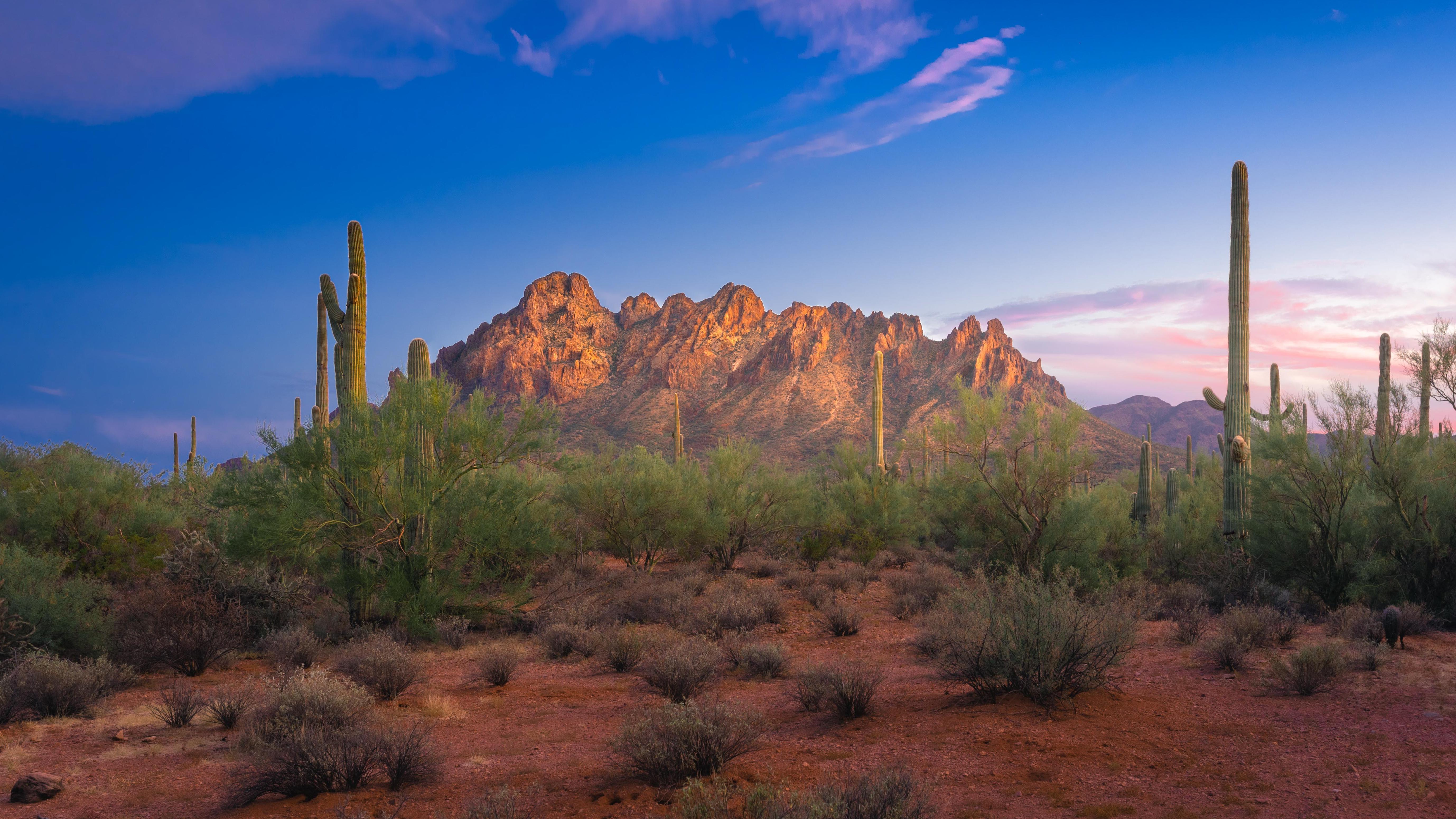 Sawtooth Mountains Ironwood Forest National Monument Tucson, AZ
