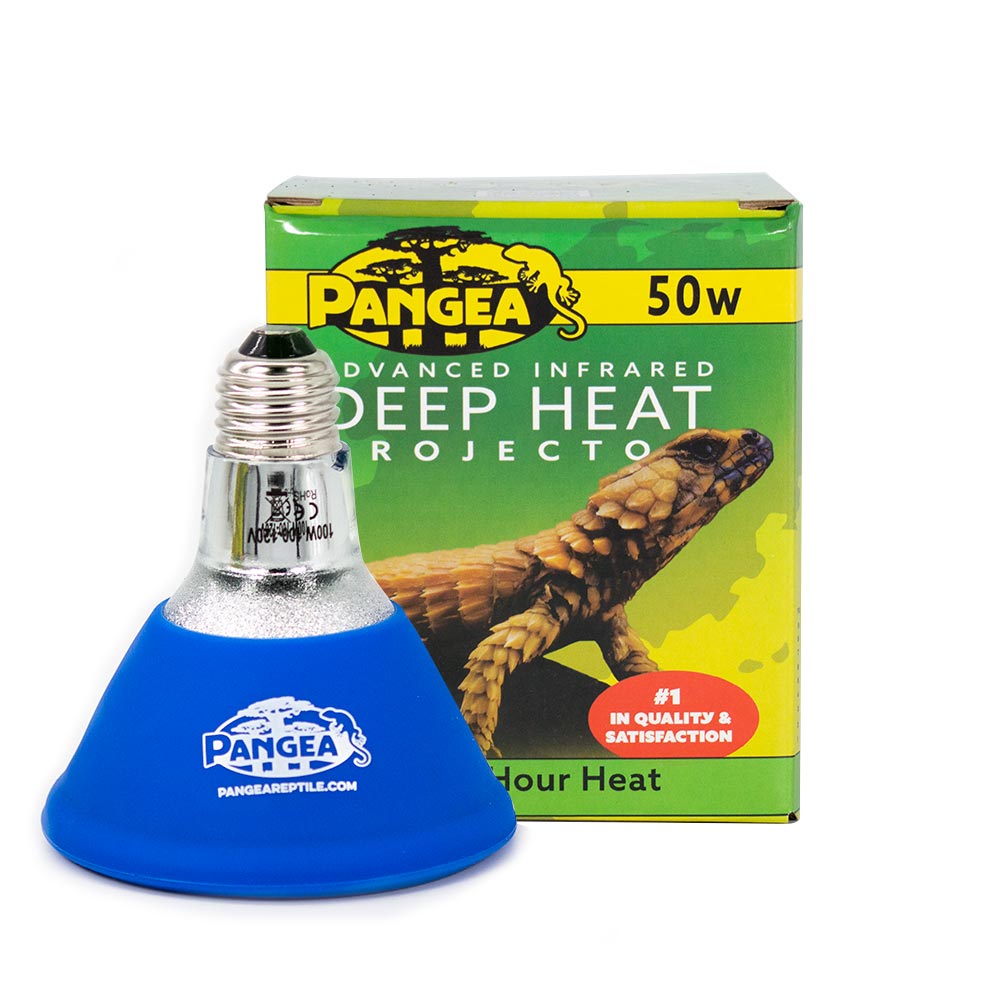 FYI Pangea Reptiles now makes its own brand of Deep Heat Projectors