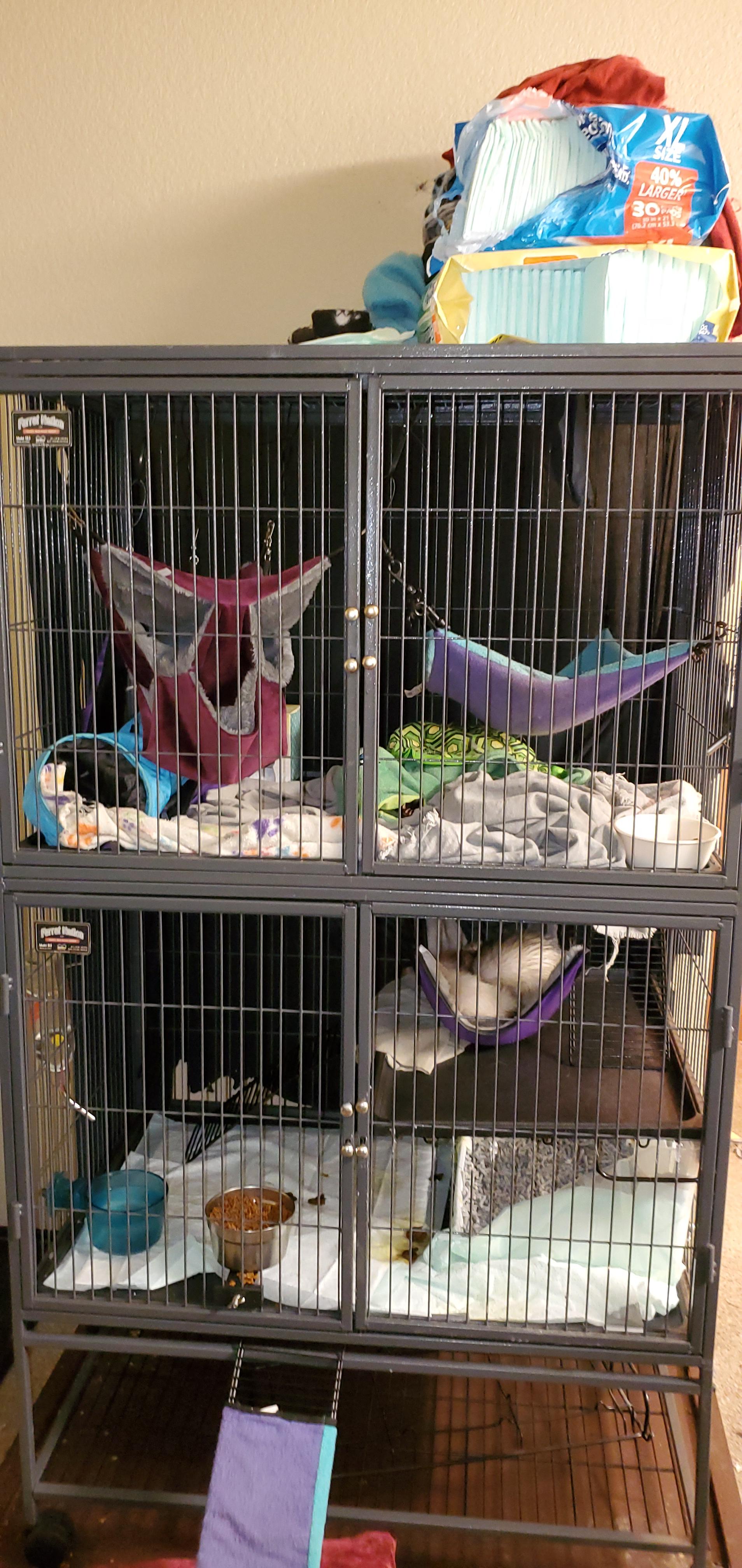 Some were asking about cages, this is what we did. The lower level fits