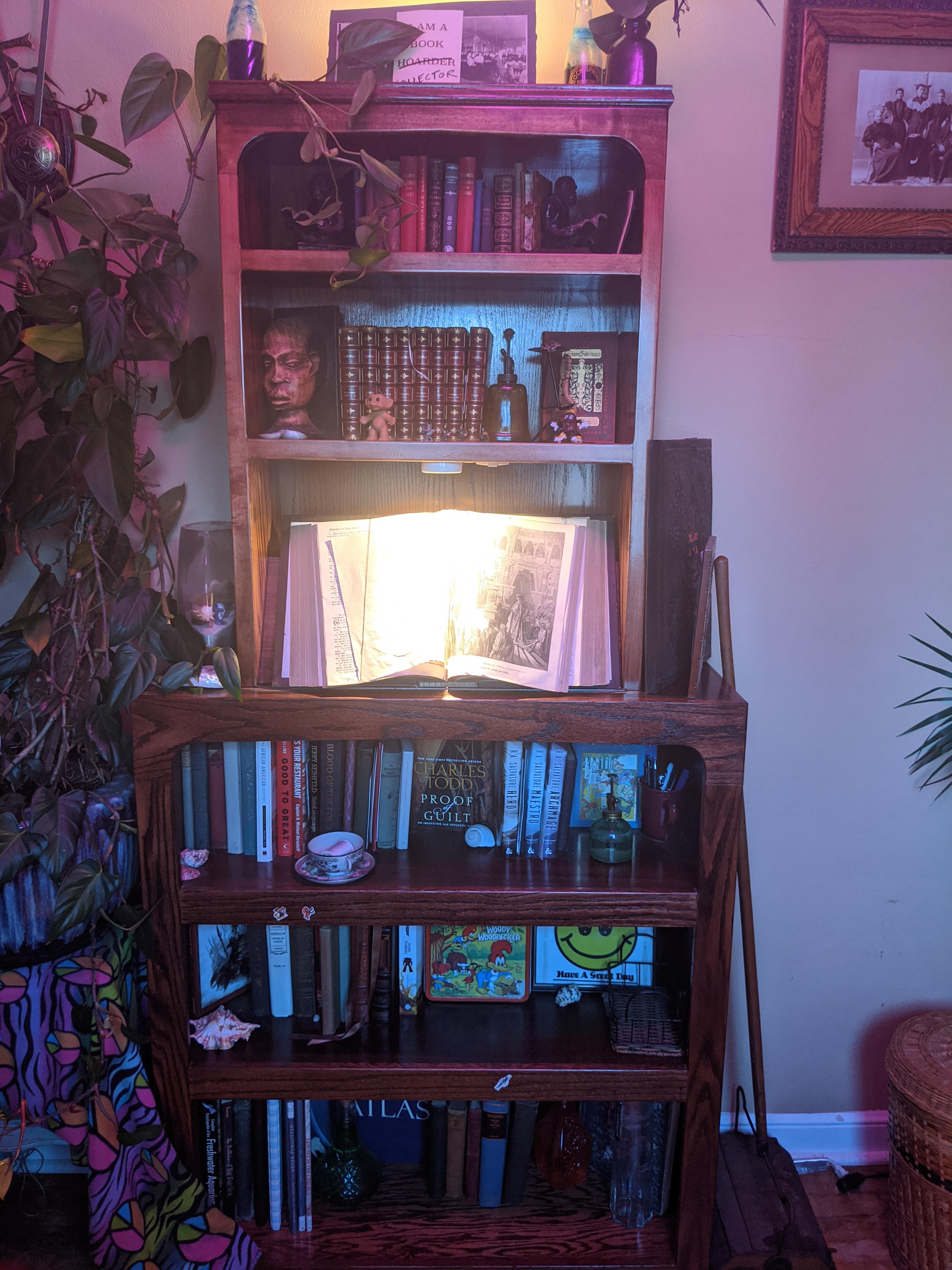 A friend made me this book shelf a few years ago, worth every penny! bookshelf